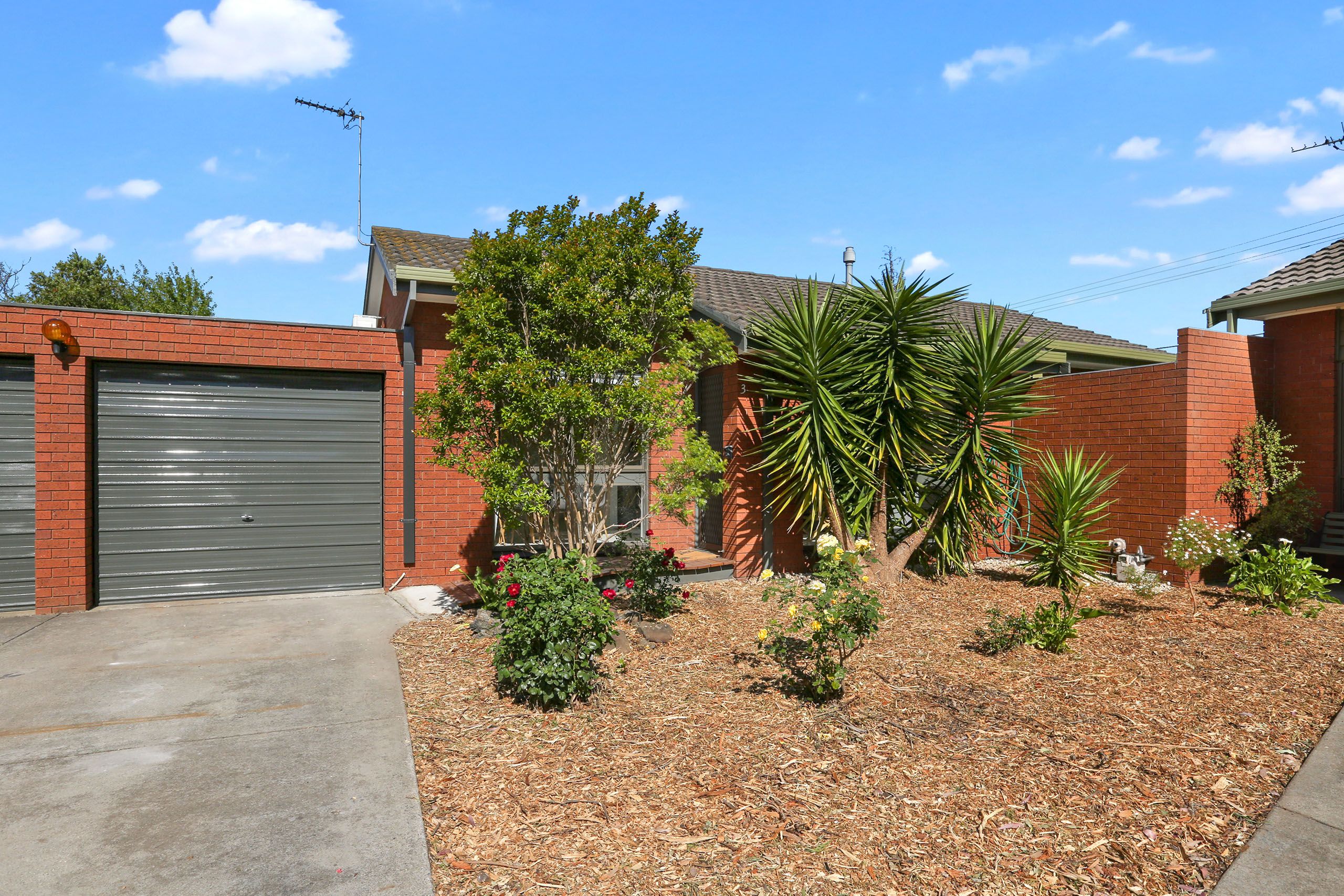 3/66-70 Reynolds Road, Belmont, VIC 3216