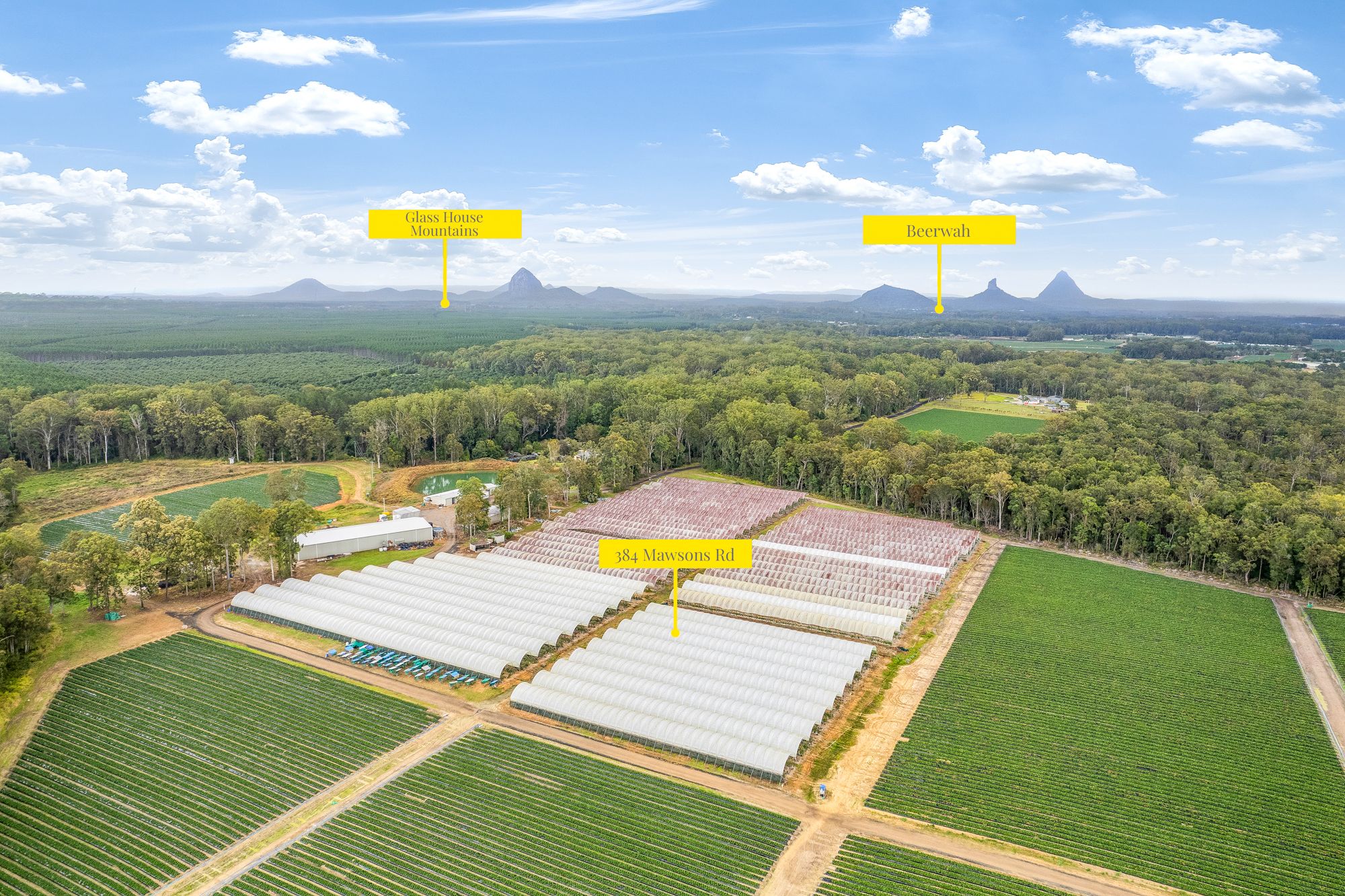 384 Mawsons Road, Beerwah, QLD 4519 Commercial Farming for Sale Ray