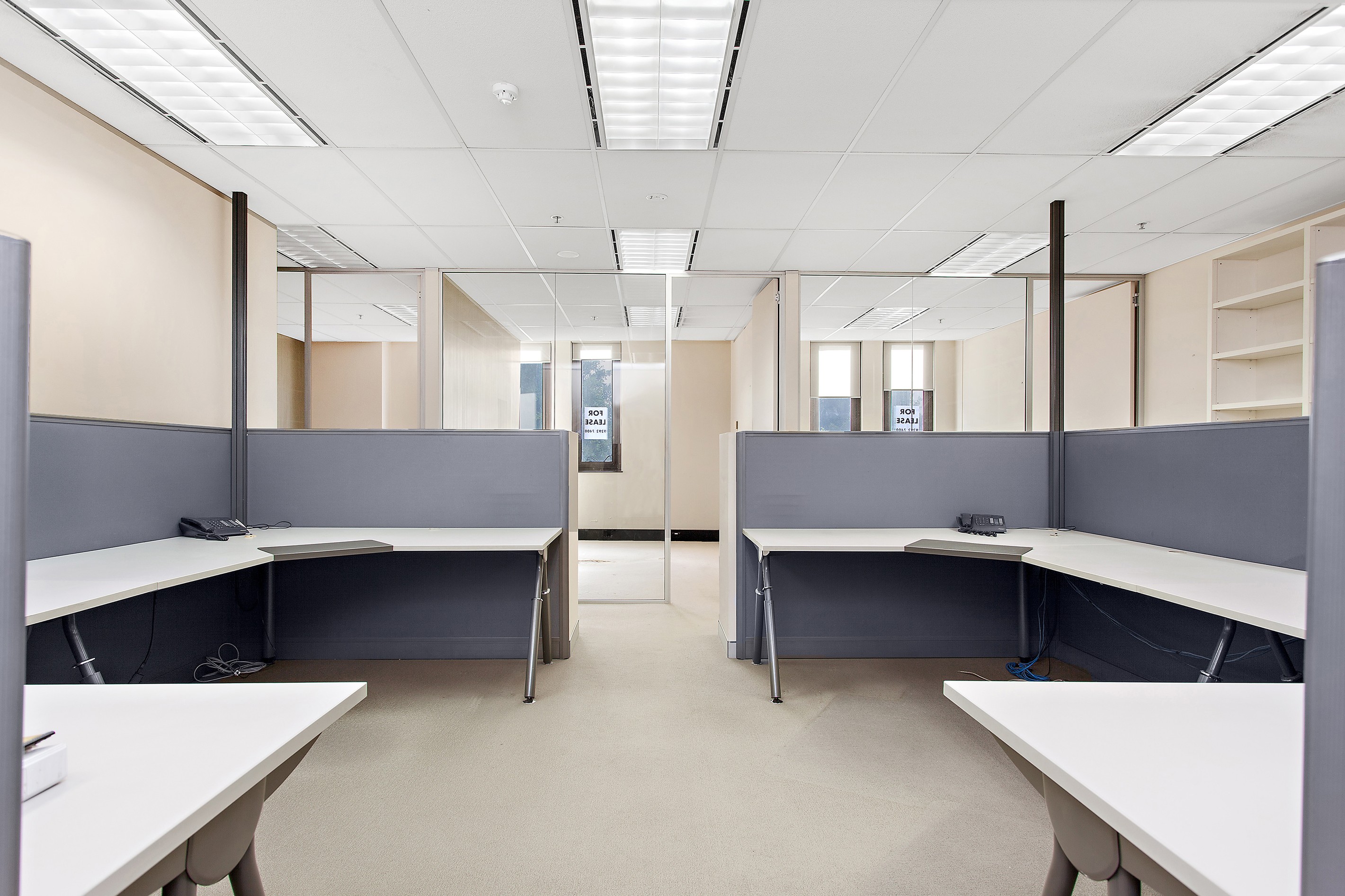 Suite 302/65 York Street, Sydney, NSW 2000