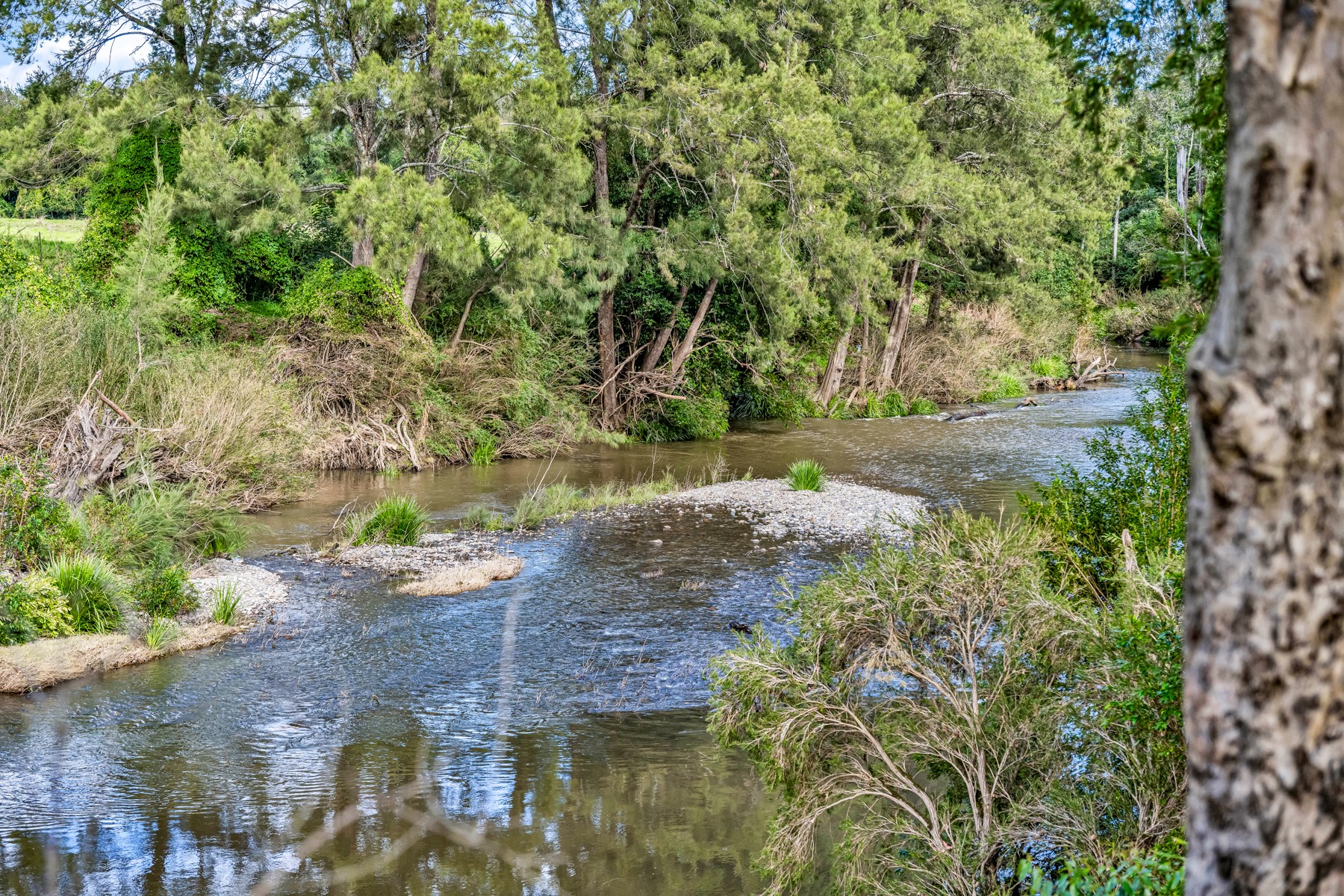 81A Fosterton Road, Dungog, NSW 2420