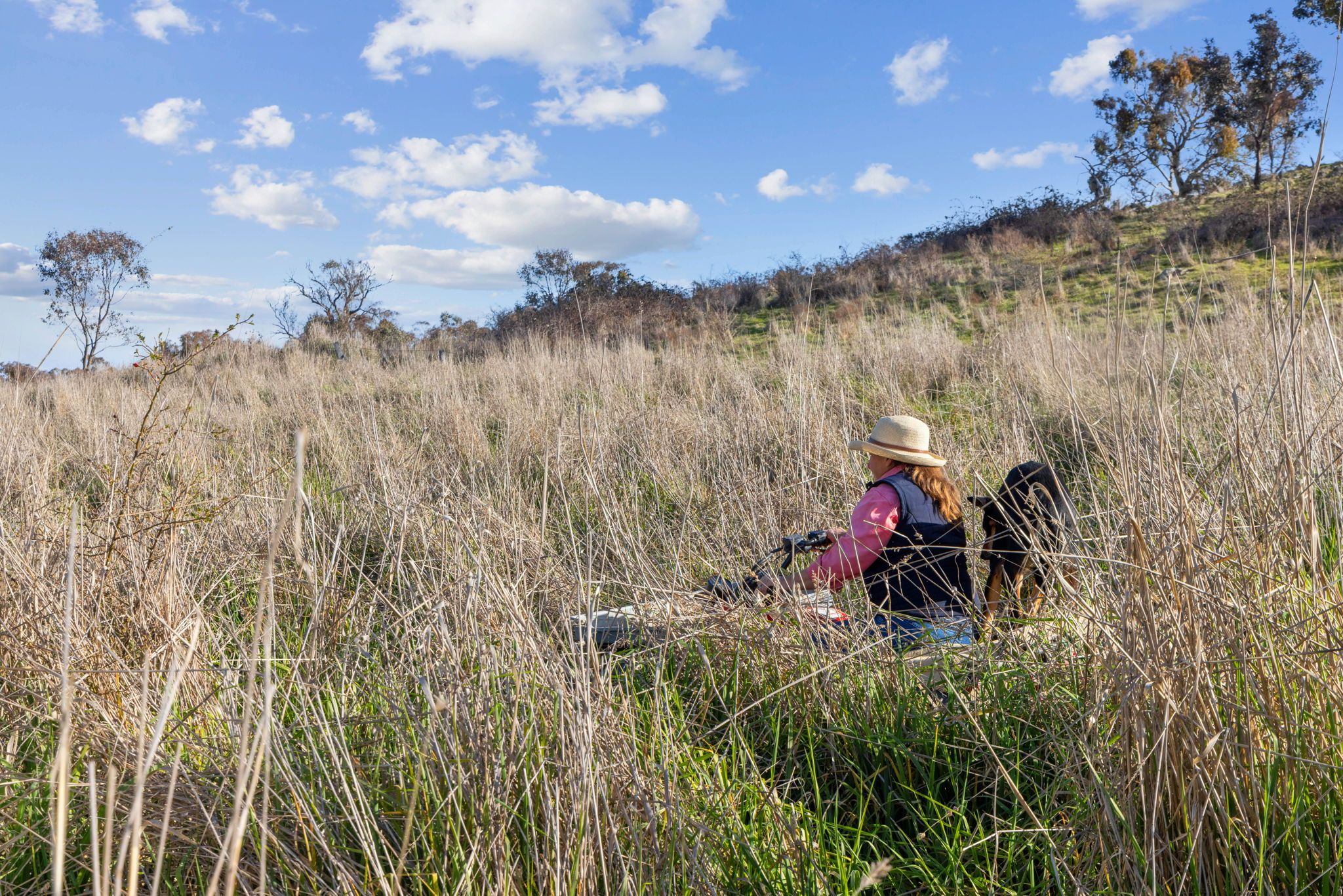 "Beddulluck Hill"/47 Boundary Lane, Wallaroo, NSW 2618 Sold Acreage