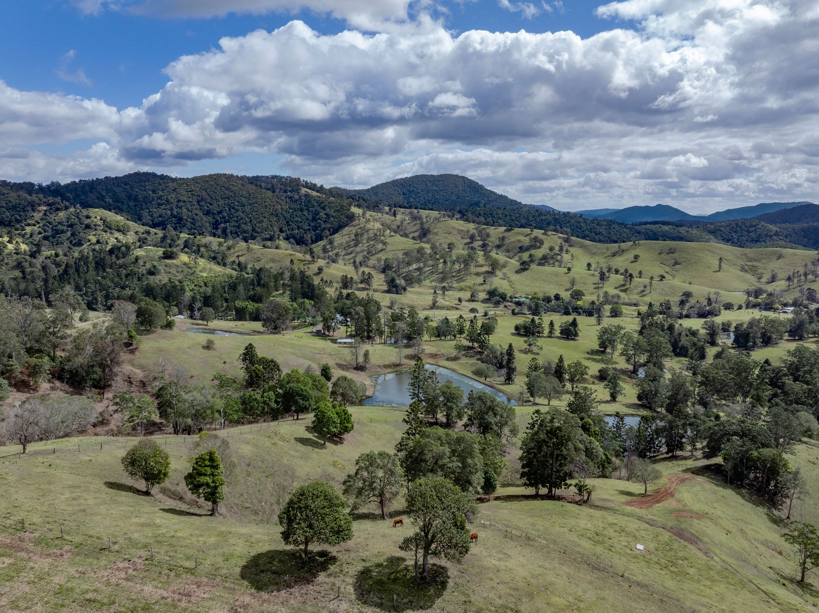 119 Perrys Road, Kidaman Creek, QLD 4574