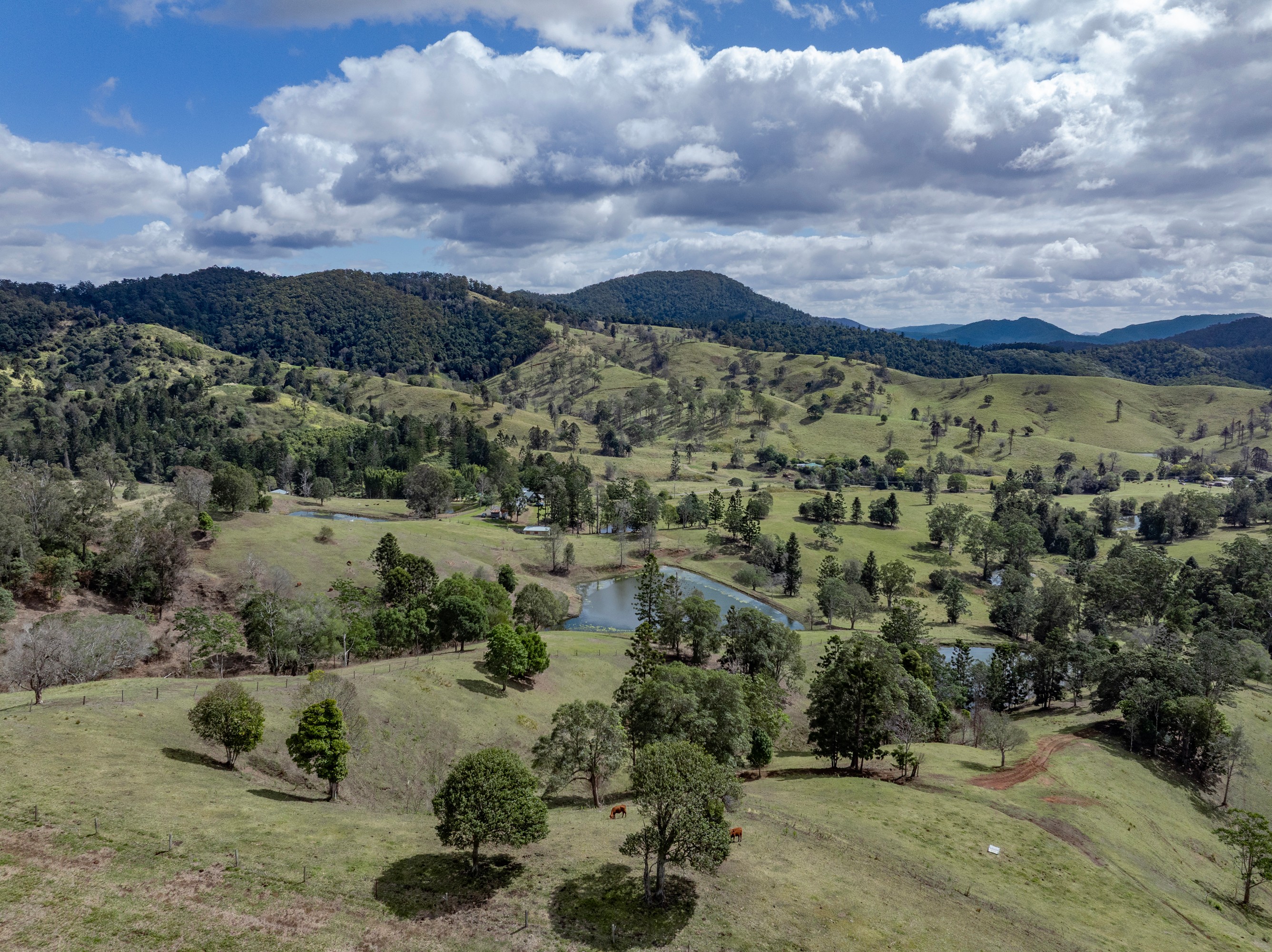 119 Perrys Road, Kidaman Creek, QLD 4574