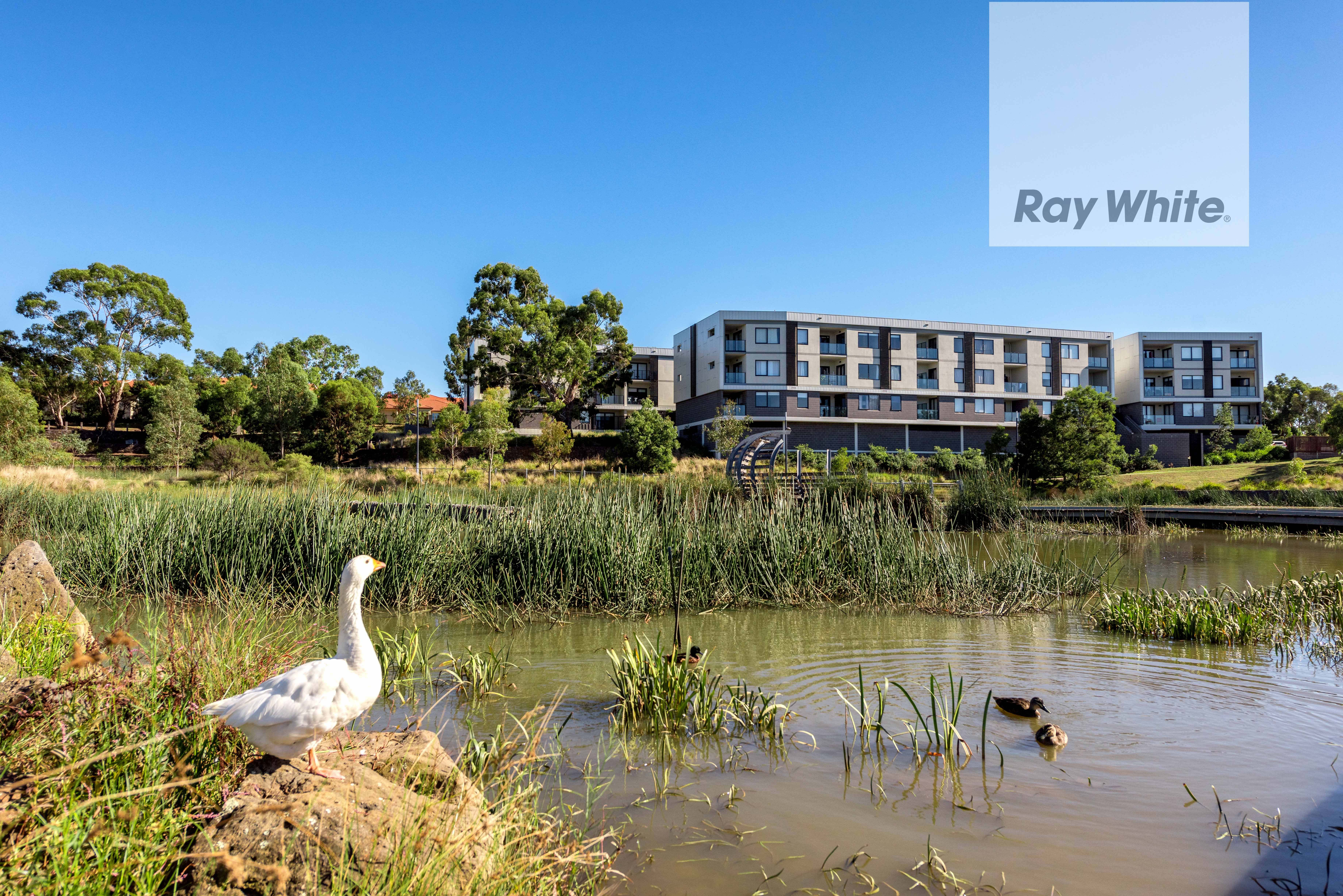 104/83 Janefield Drive, Bundoora, VIC 3083