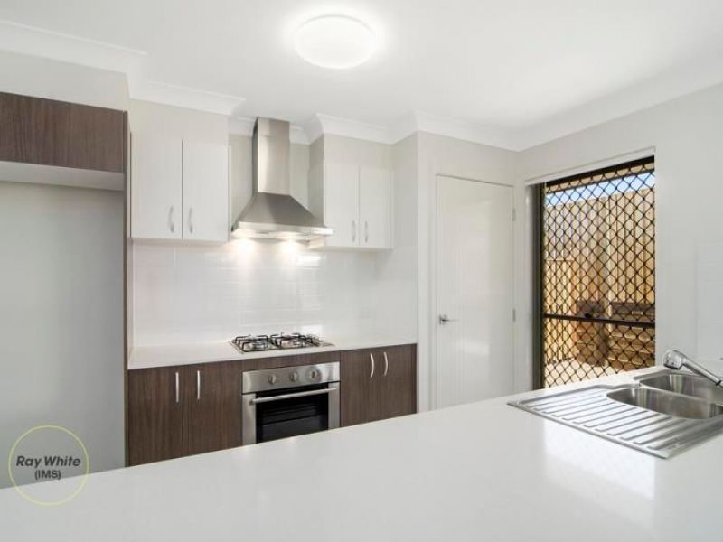 13 Corkwood Court, Coomera, QLD 4209