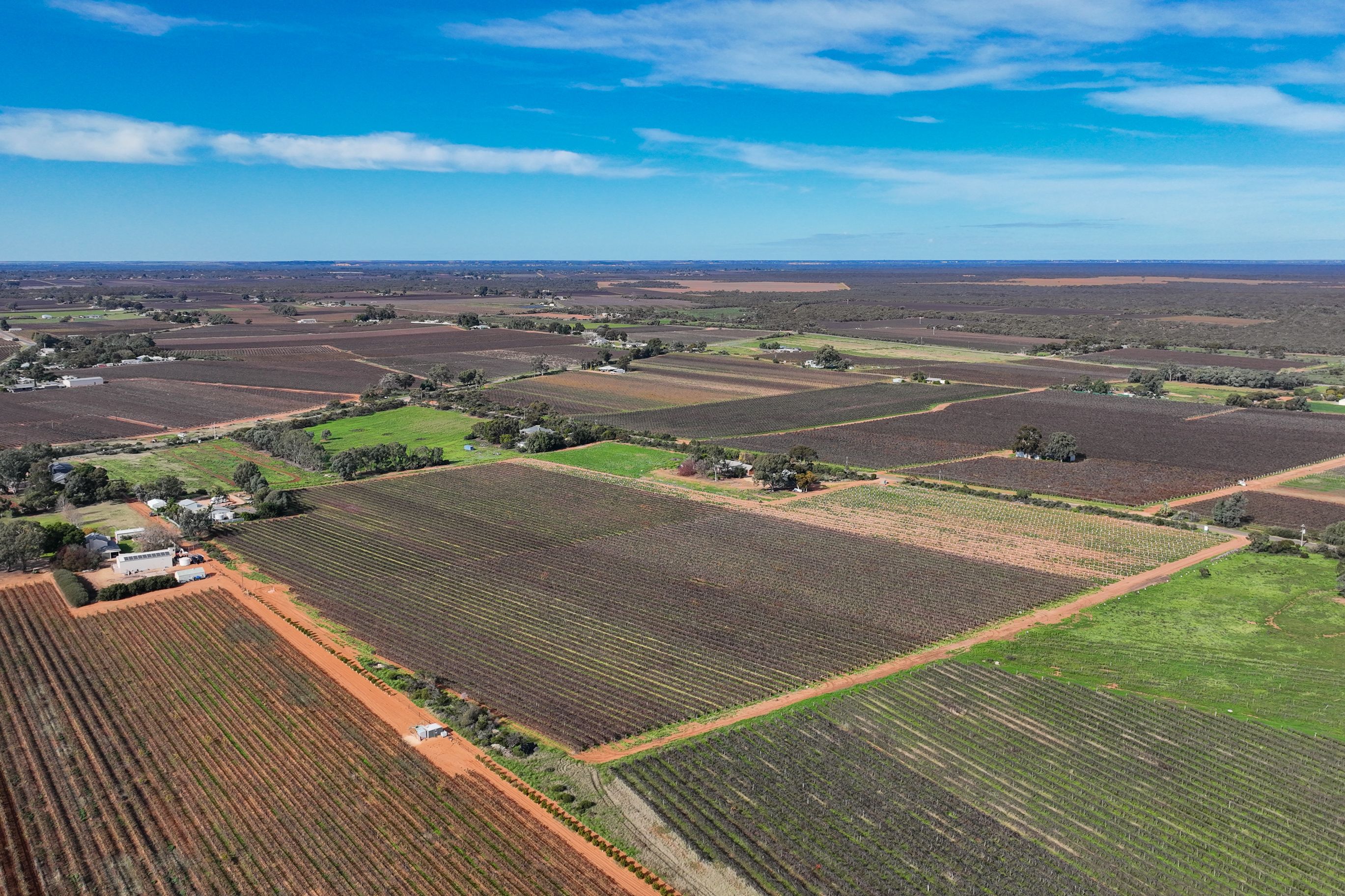 Lot 52 Hoffmann Road — photo 4 of 11