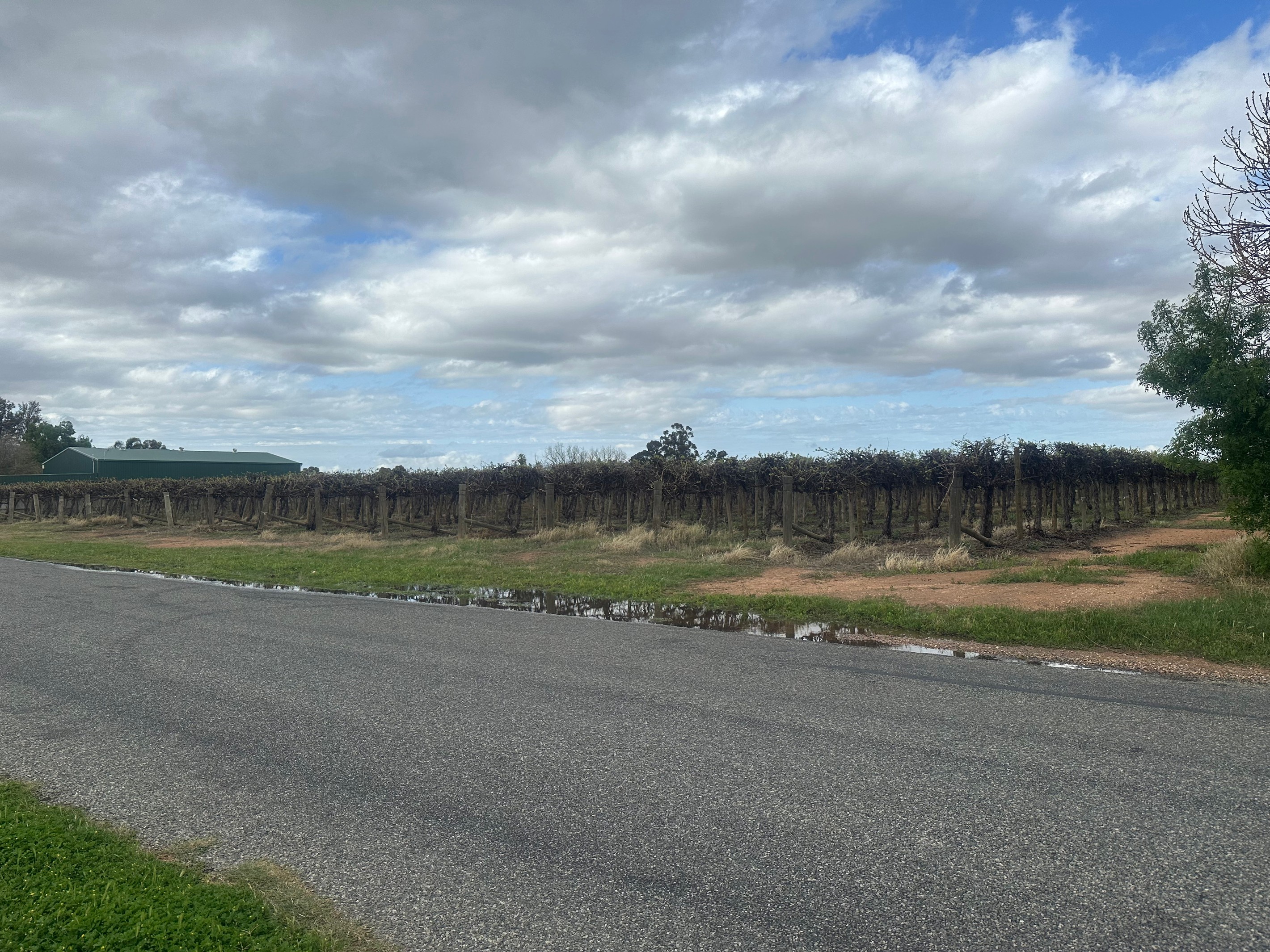 Lot 24 Tarcoola Street, Renmark West, SA 5341