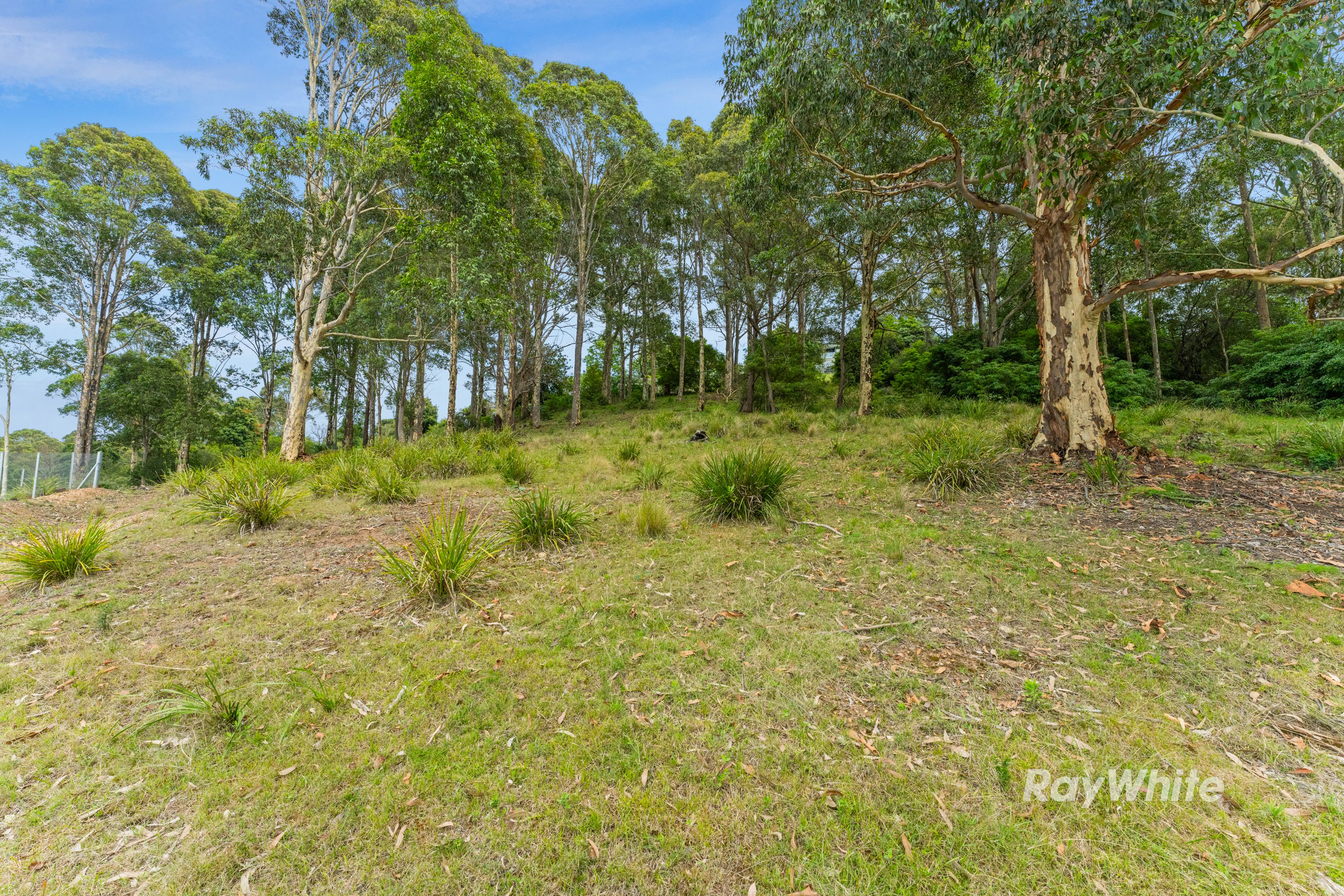 33 Berrima Street, Catalina, NSW 2536