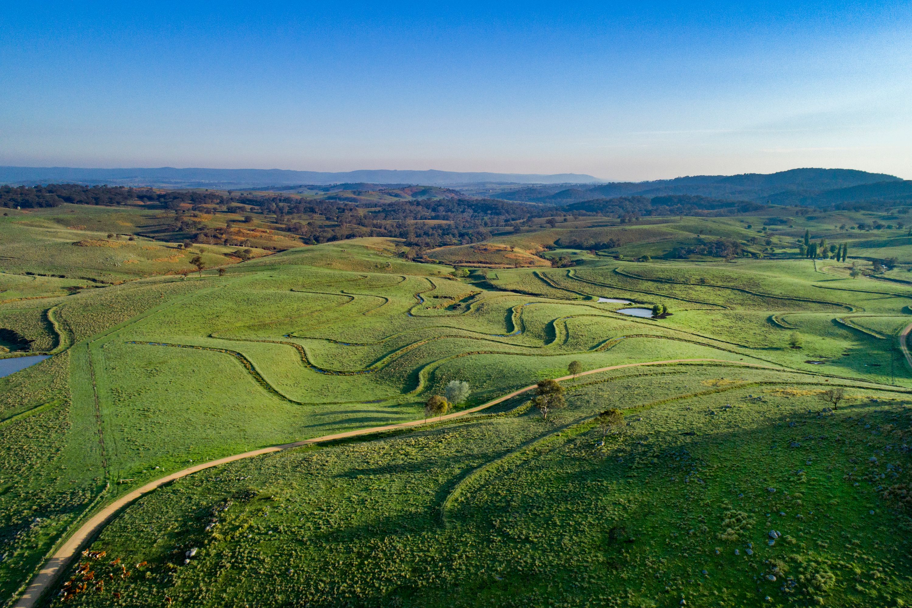 1043 Billirimba Road, Tenterfield, NSW 2372