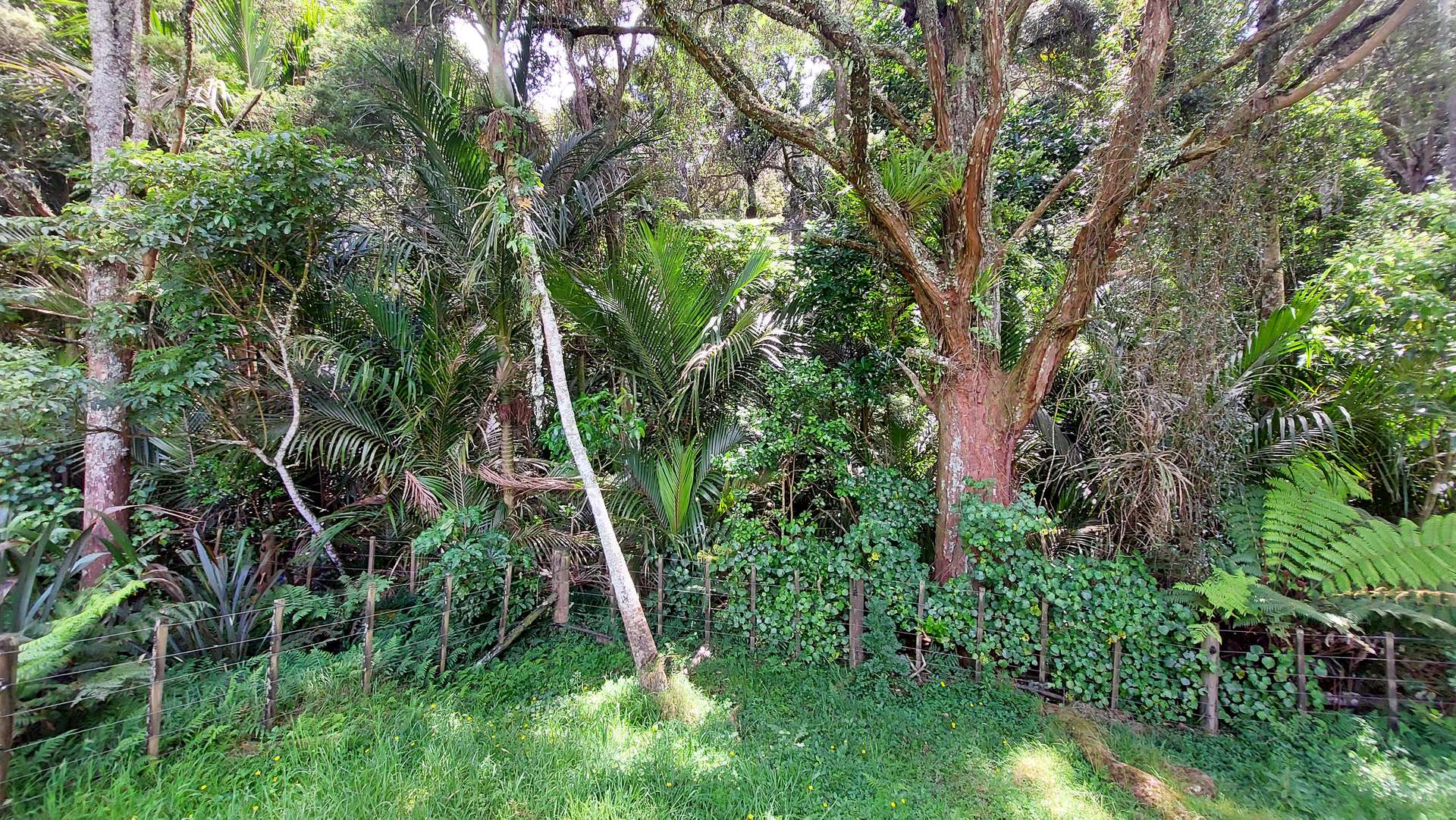 105 Tudehope Road photo 26