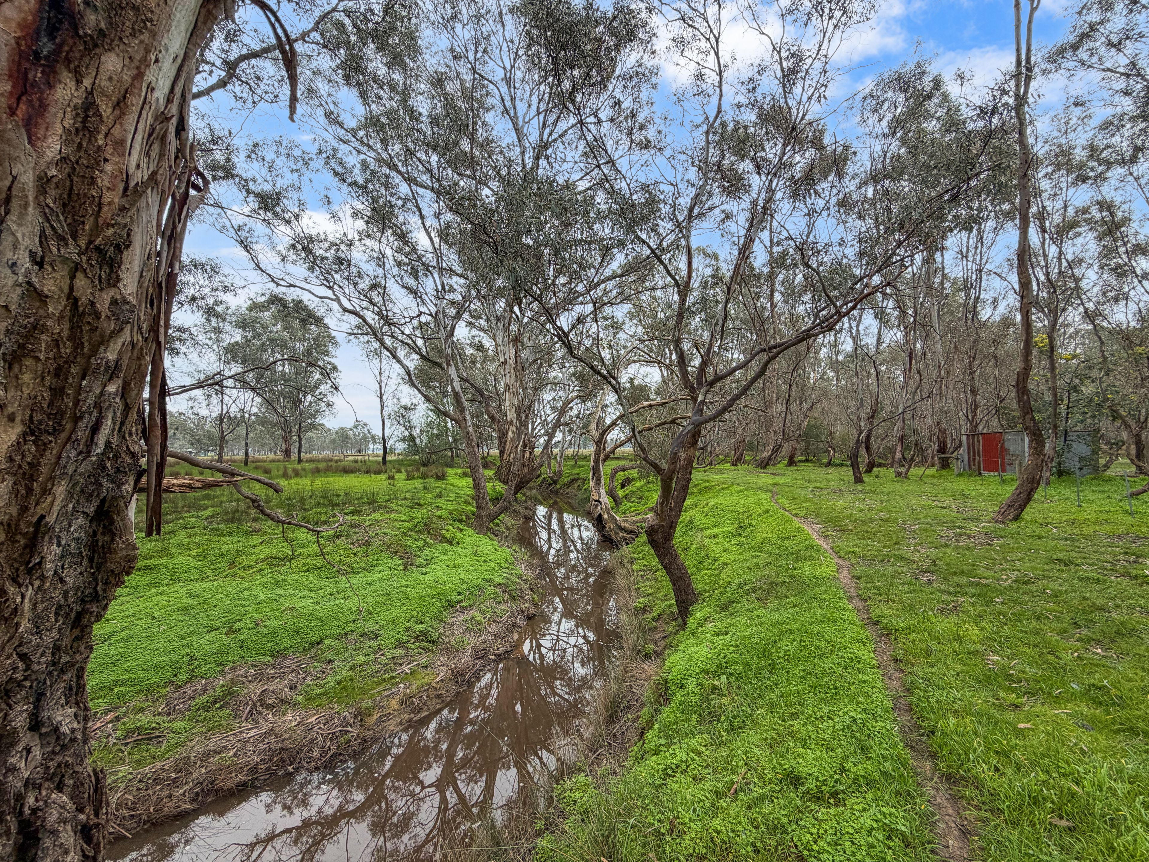 20 Toohey Street — photo 8 of 20