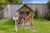 30 Hunter Street photo 16