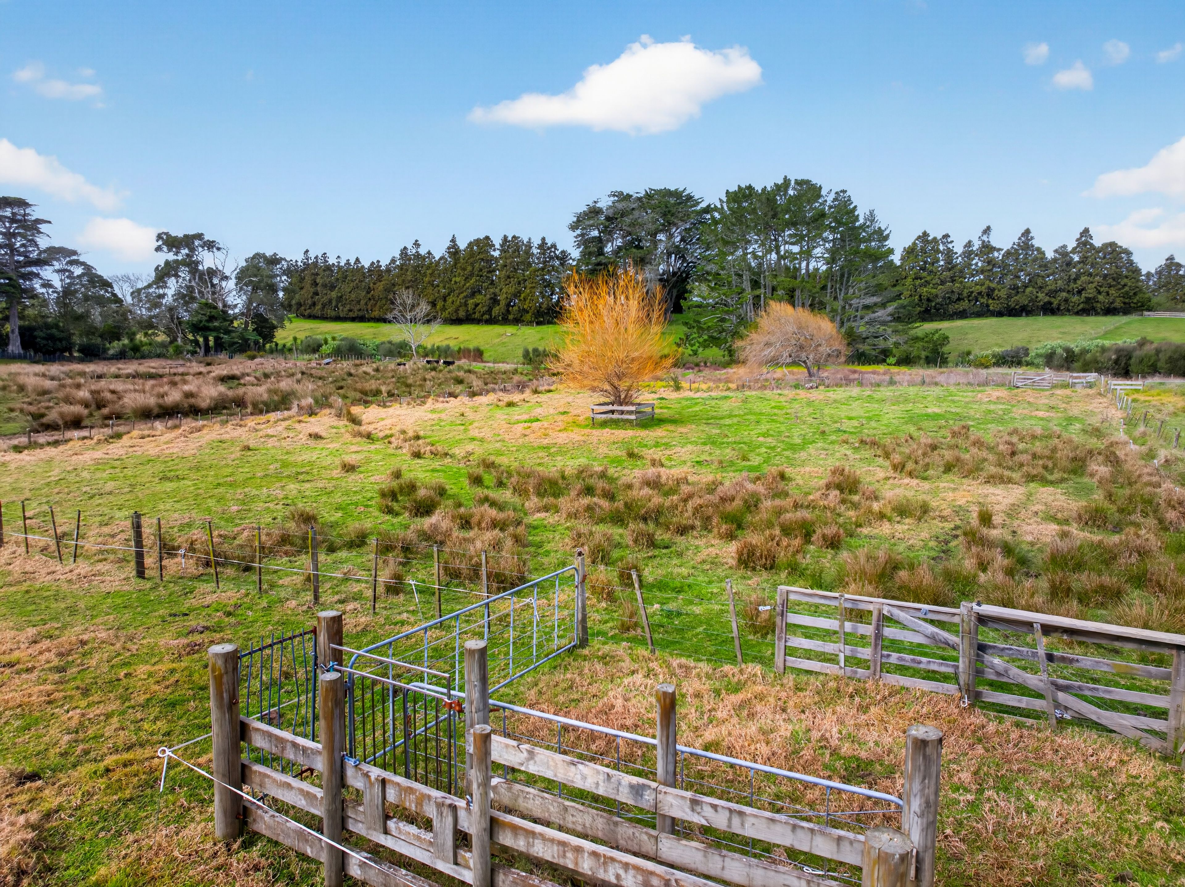 35 Colombo Road, Waiuku, Franklin