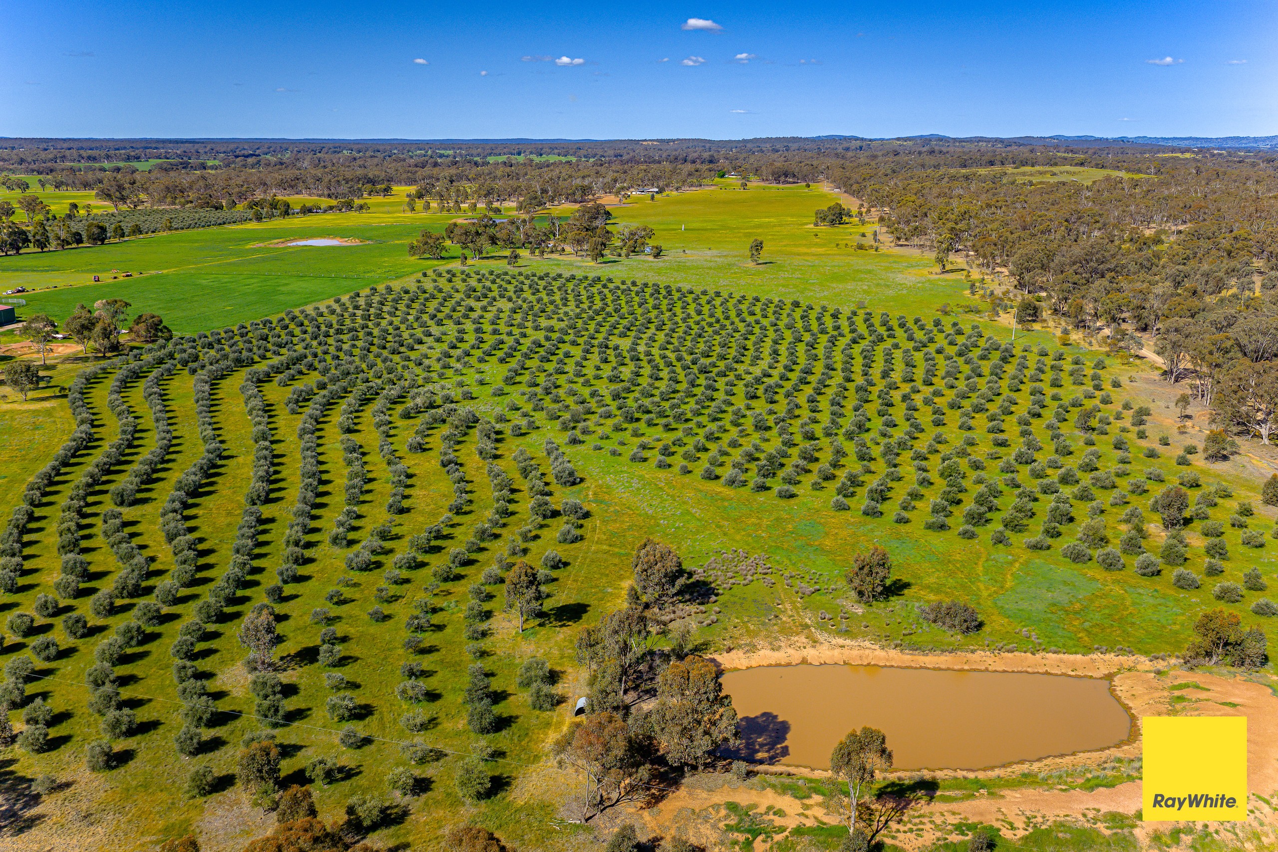 1 Corner of Nixons Road & Neivandts Road, SHELBOURNE, VIC 3515
