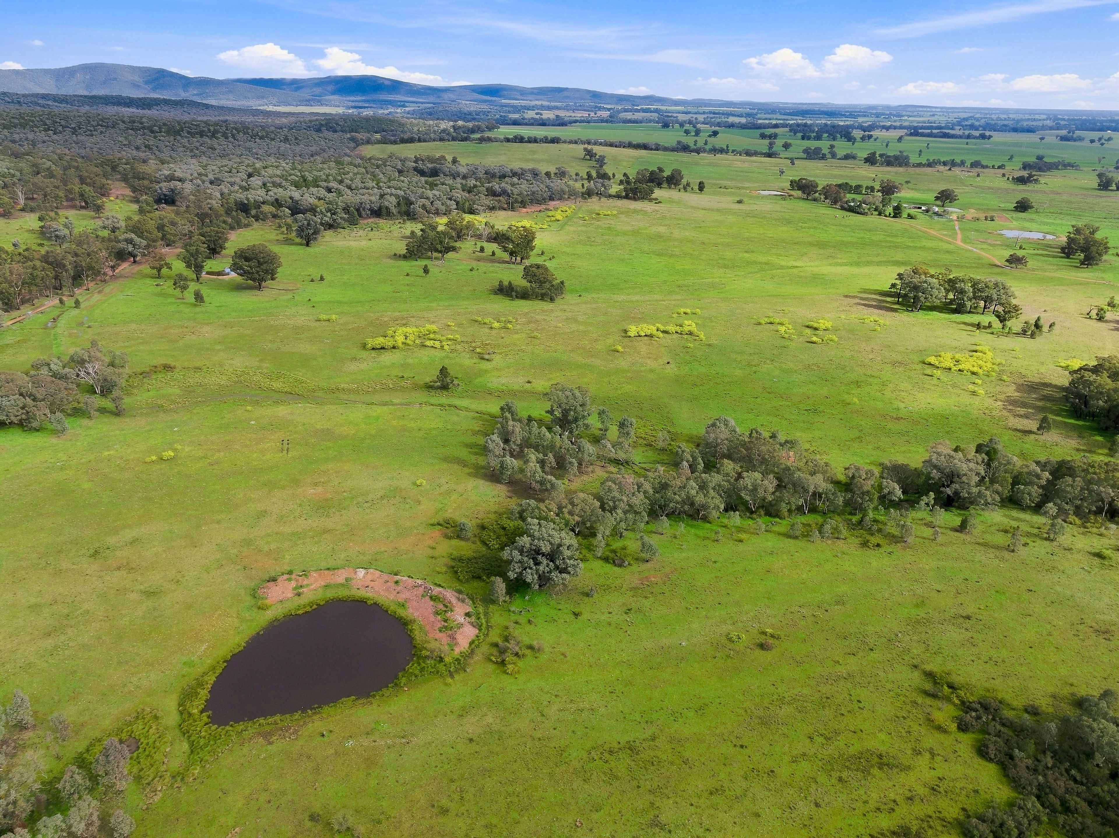 'Merrivale' 358 Goodwins Lookout Road — photo 3 of 16