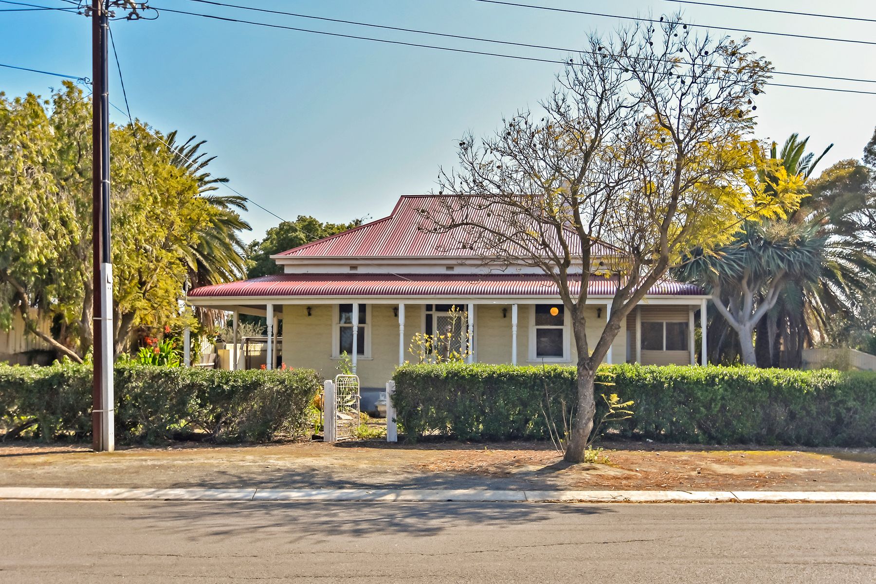 43 Borrow Street, Freeling, SA 5372