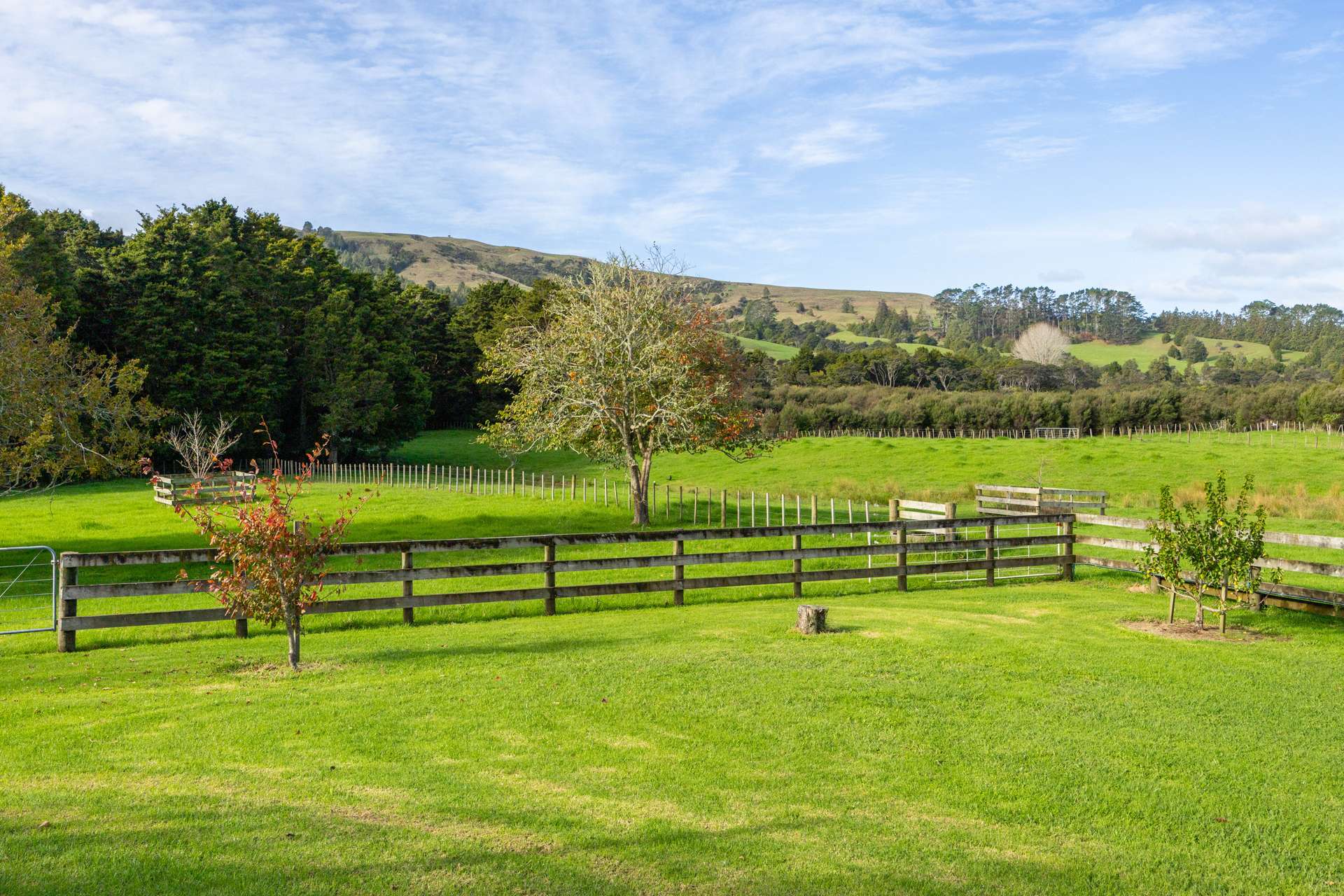 1245 Whangaripo Valley Road photo 33