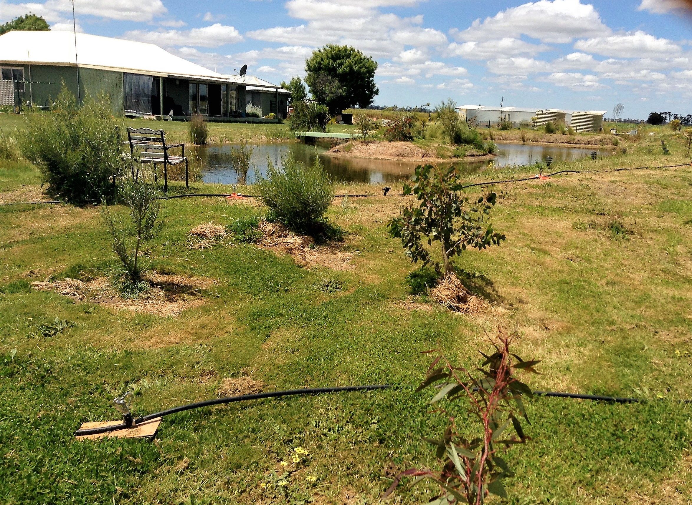 18 Brookes Road, Serviceton VIC 3420