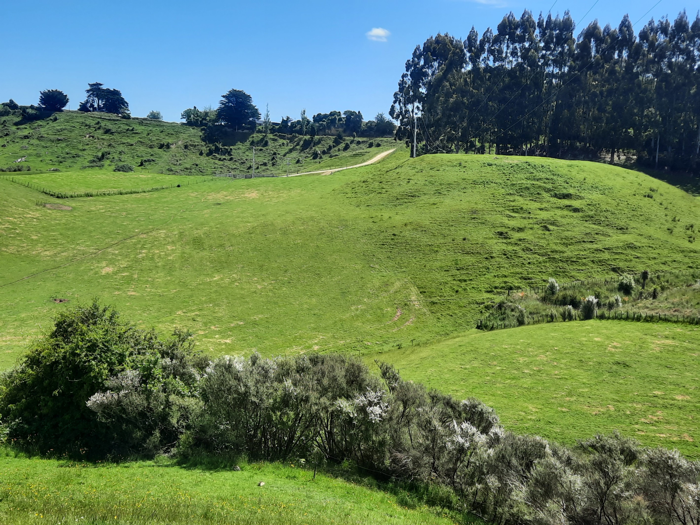 Lot 7, 560 Finnis Road, Pohangina, Manawatu District