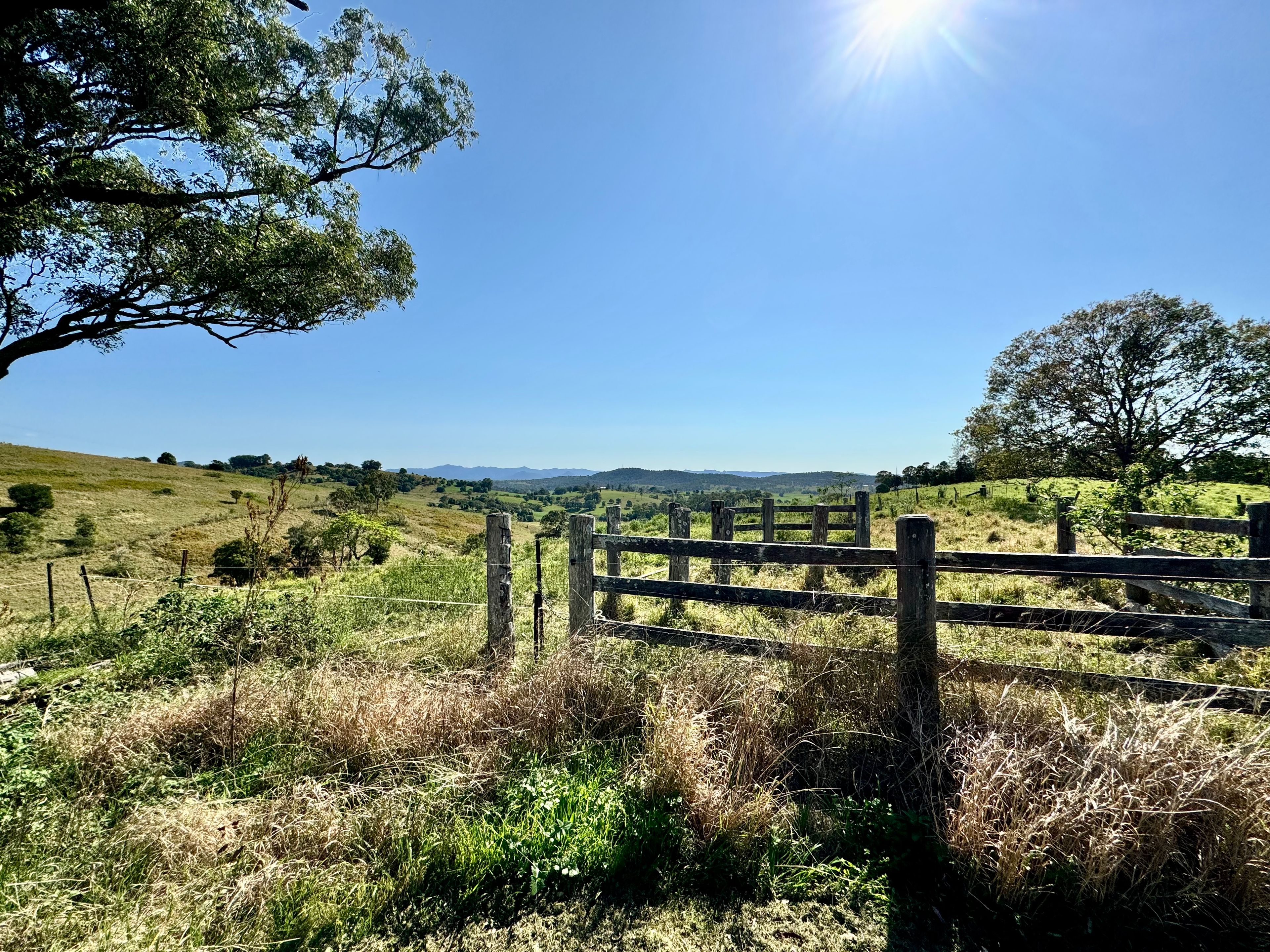 419 Tinonee Road, Mondrook, NSW 2430 House for Rent Ray White Manning Valley