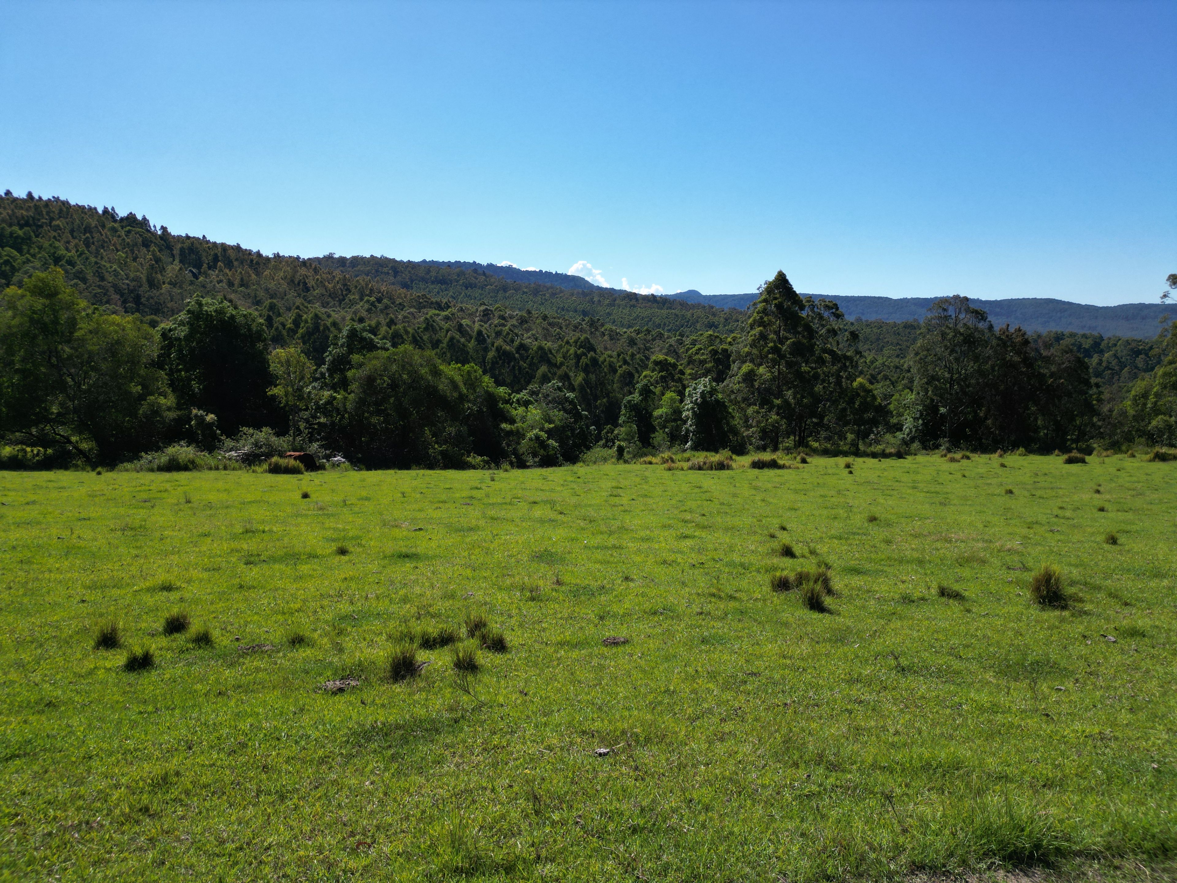 Lot 40 Joes Box Road — photo 9 of 15