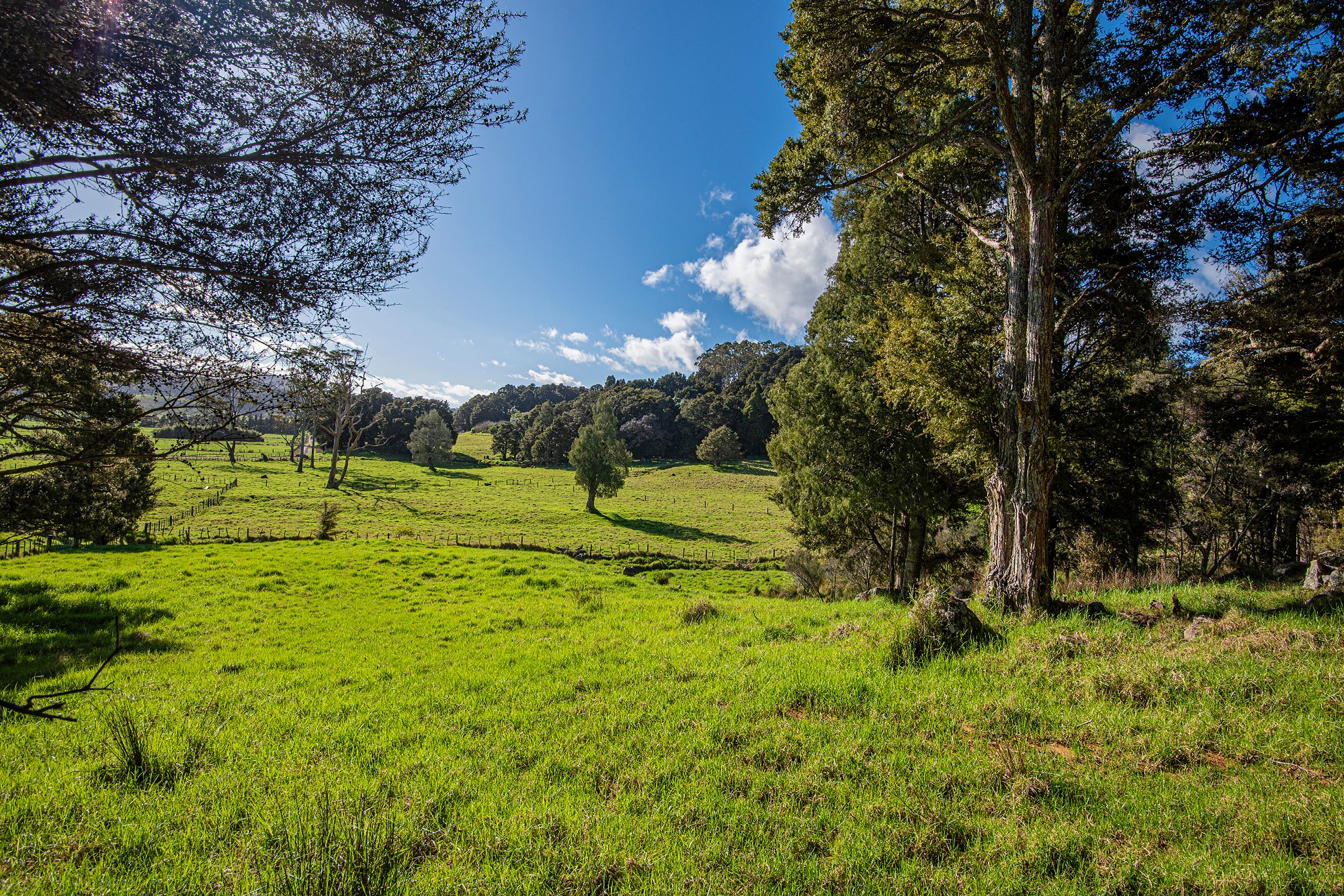 433 Crane Road, Kauri, Whangarei District