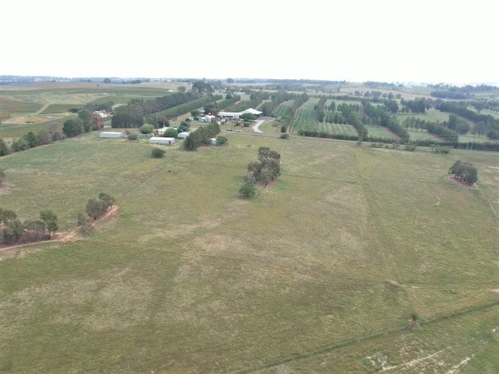 93 Prunevale Road Kingsvale, Young, NSW 2594