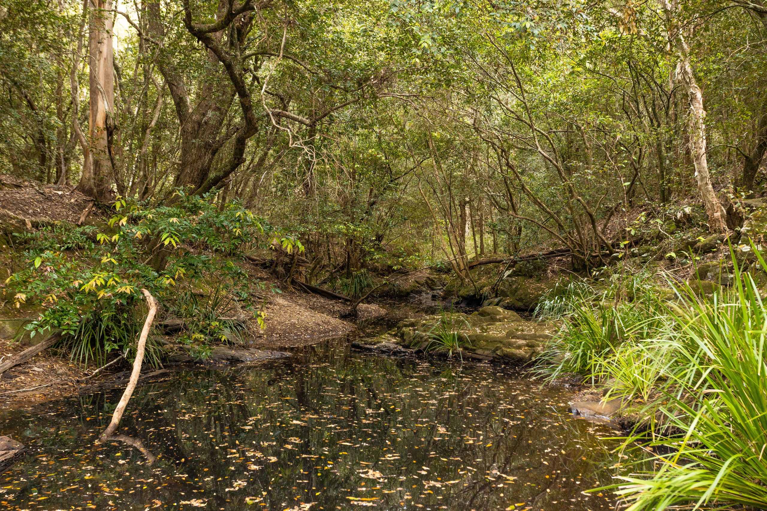 212 Norries Road, Bunyah, NSW 2429