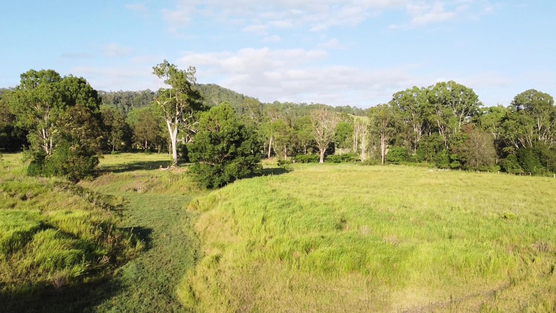 1106 Naughtons Gap Road — photo 14 of 27