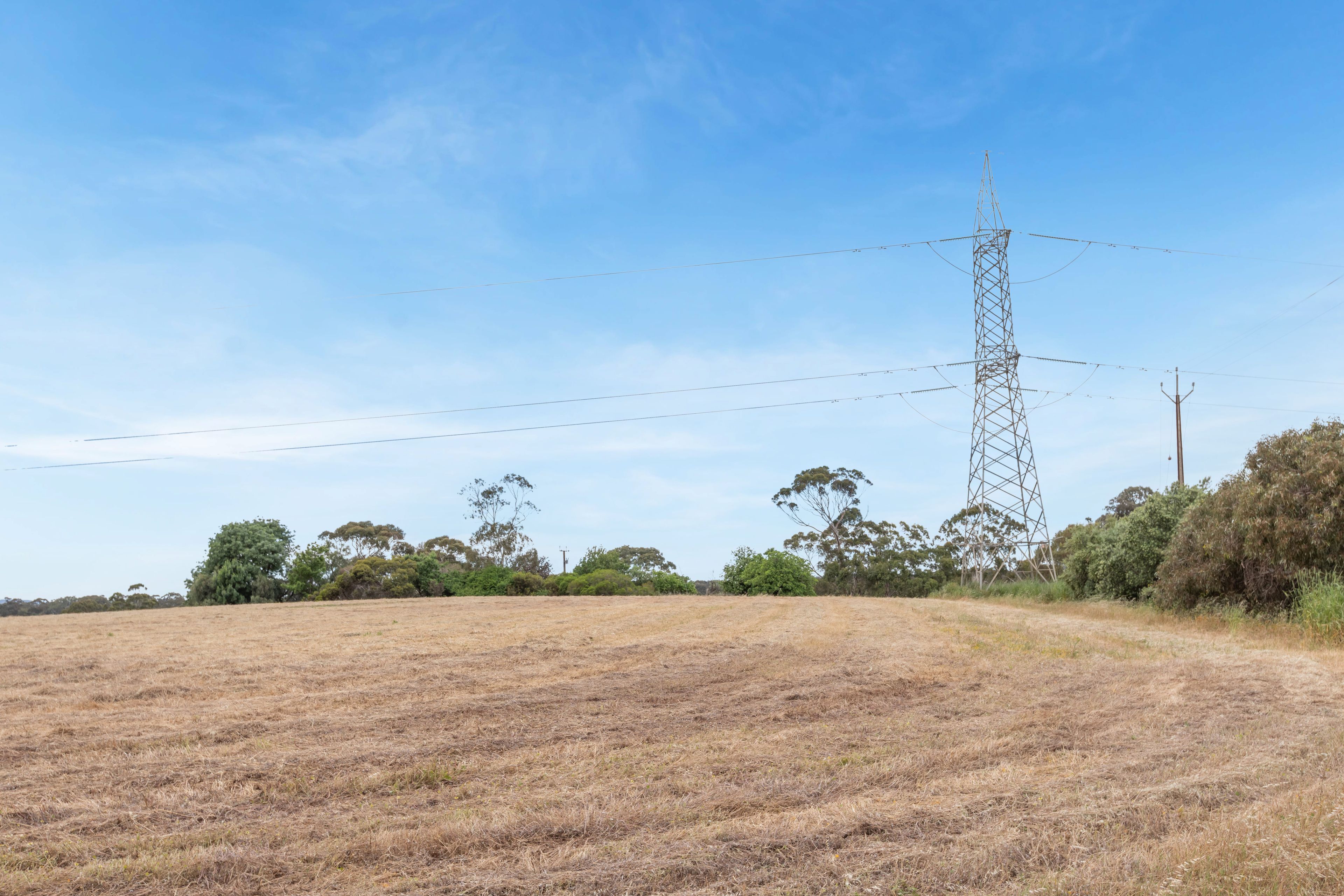 883 Black Top Road — photo 12 of 23