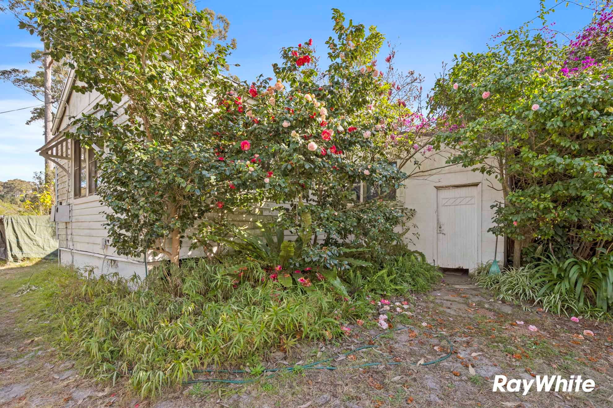 498 North Head Drive — photo 11 of 15