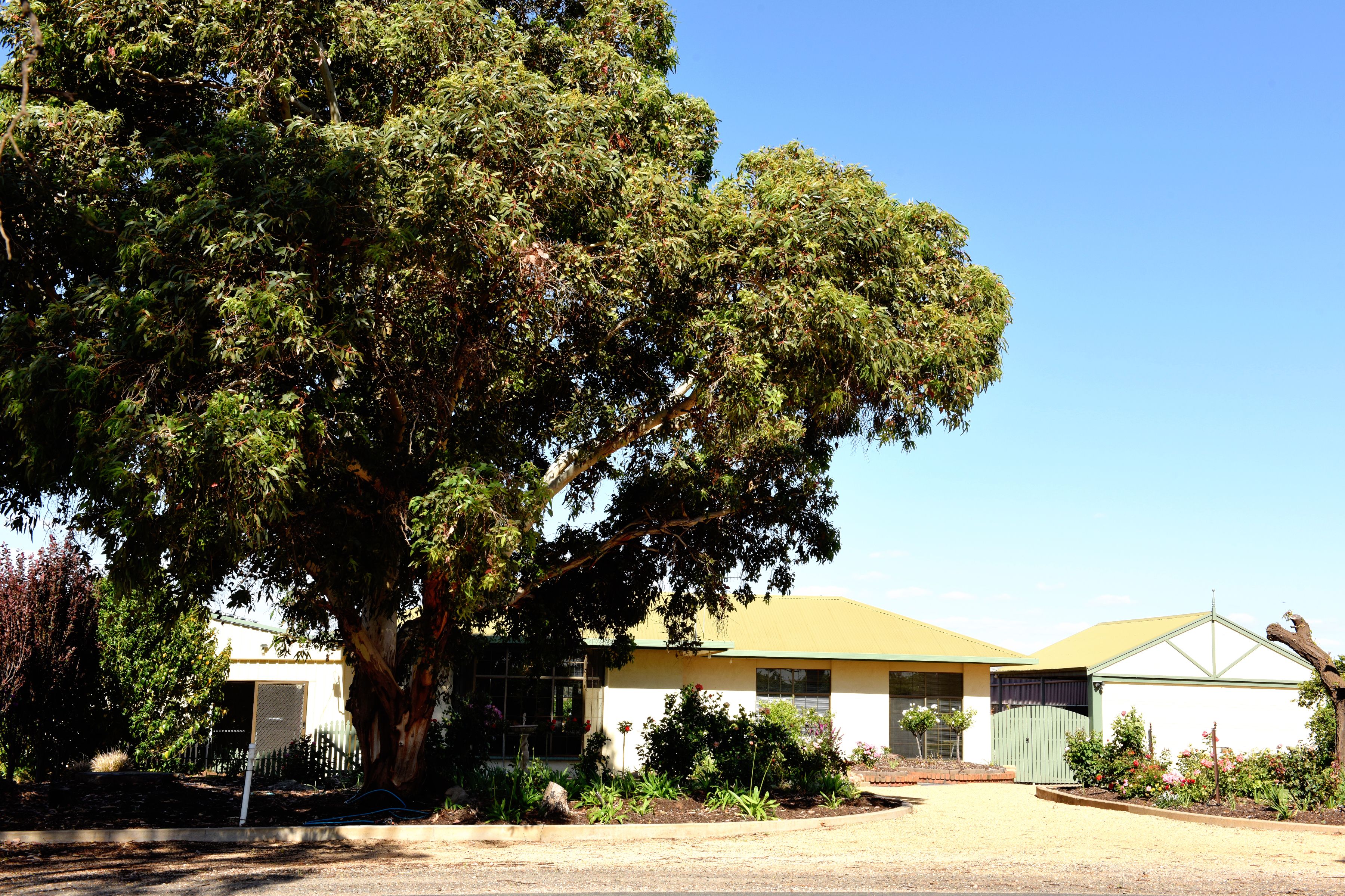 262 Balfour Ogilvy Avenue, Loxton North, SA 5333
