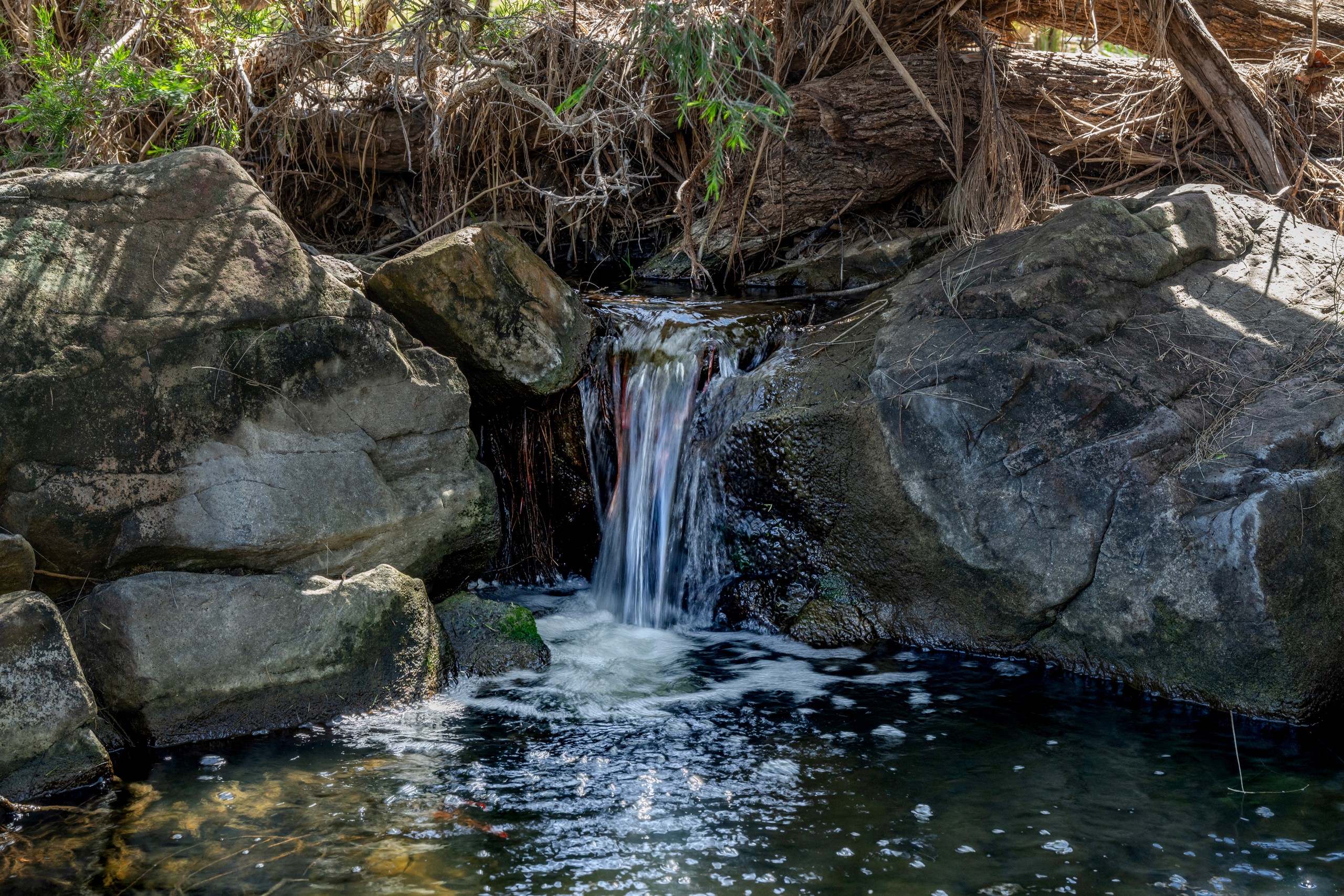 Lot 13 Cnr Cannon Creek Road & Ridge Road, Maroon, QLD 4310