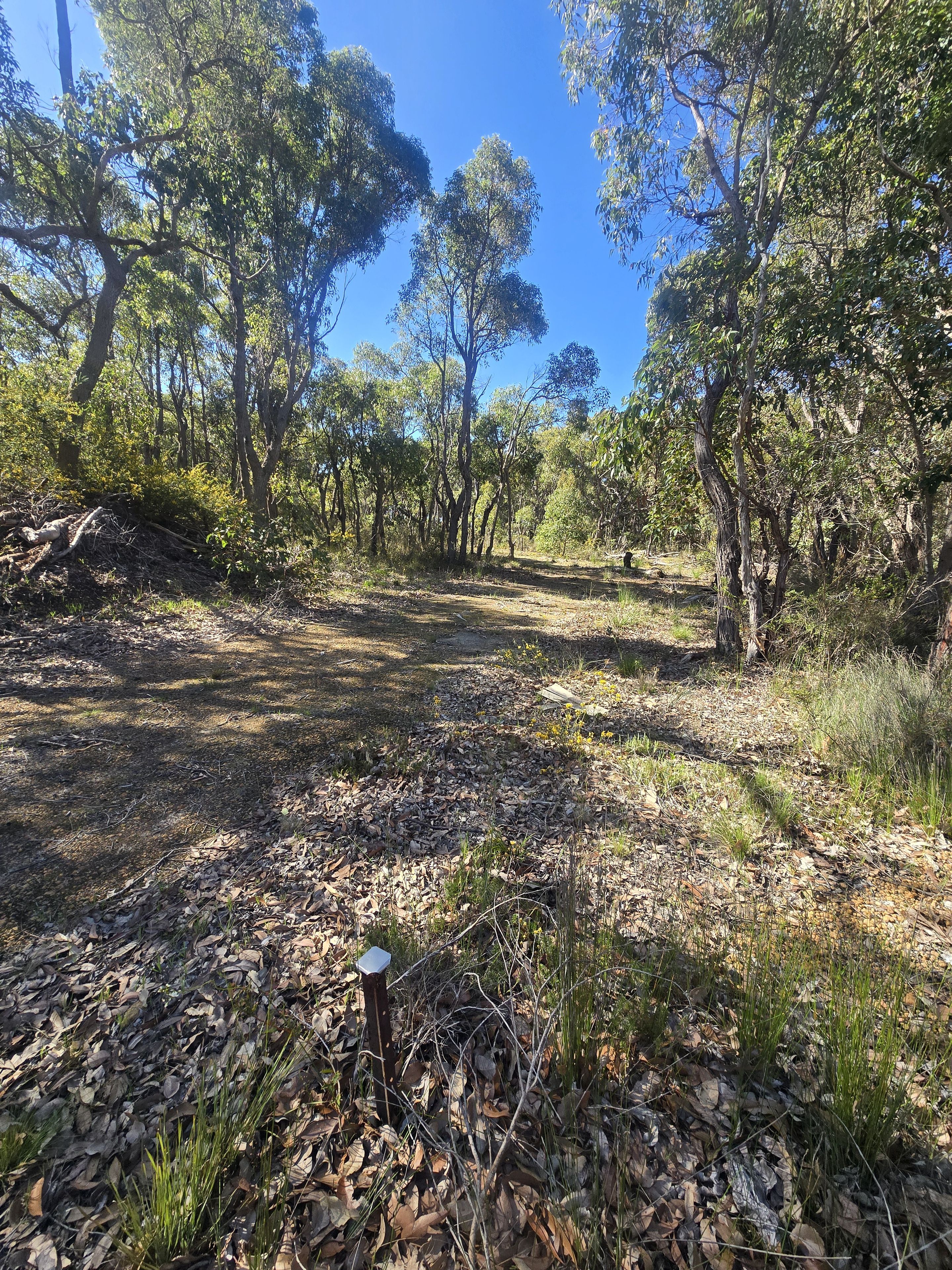 3 Dufty Place — photo 7 of 8