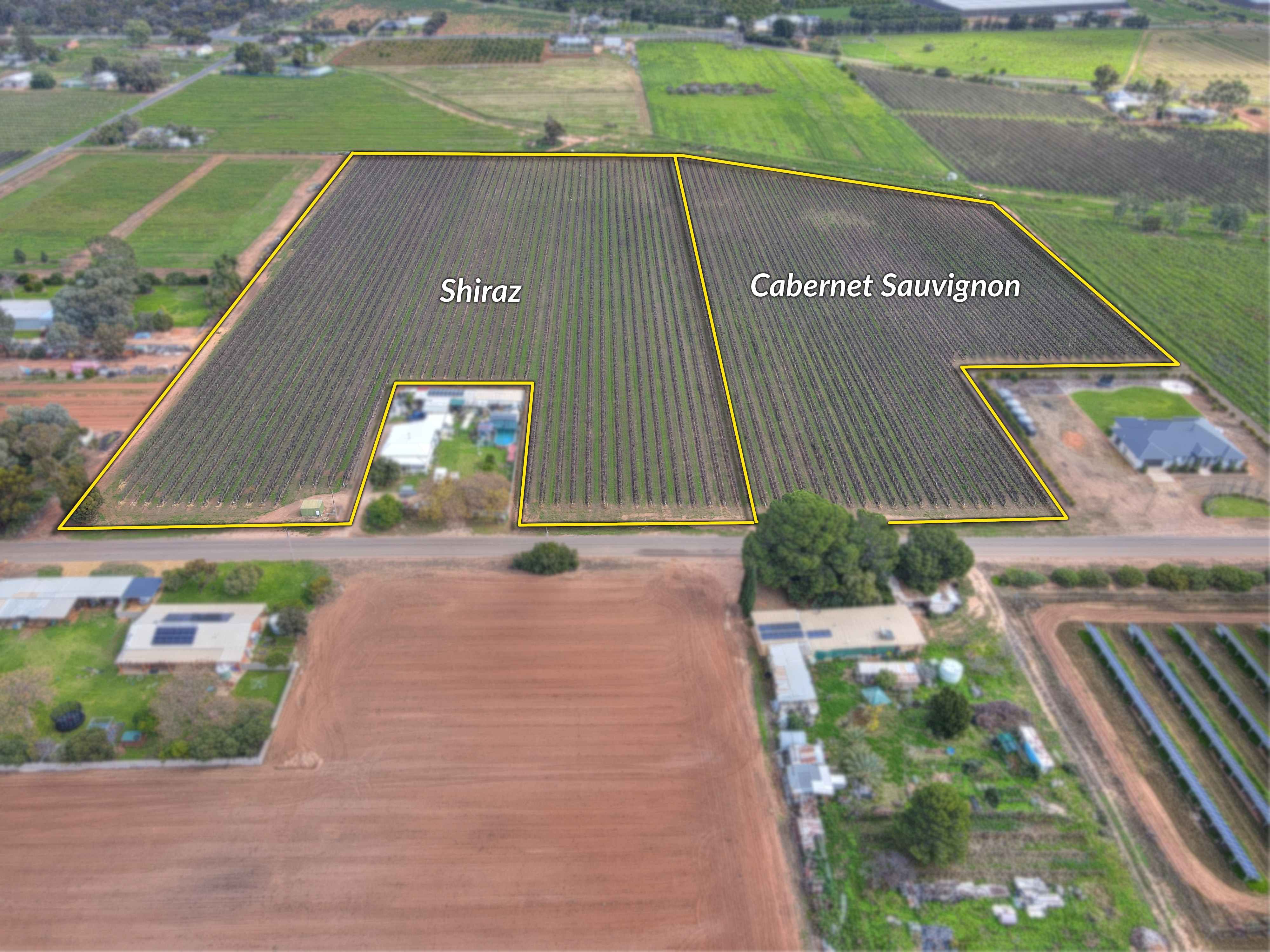 Lot 50 Chowilla Street — photo 4 of 4