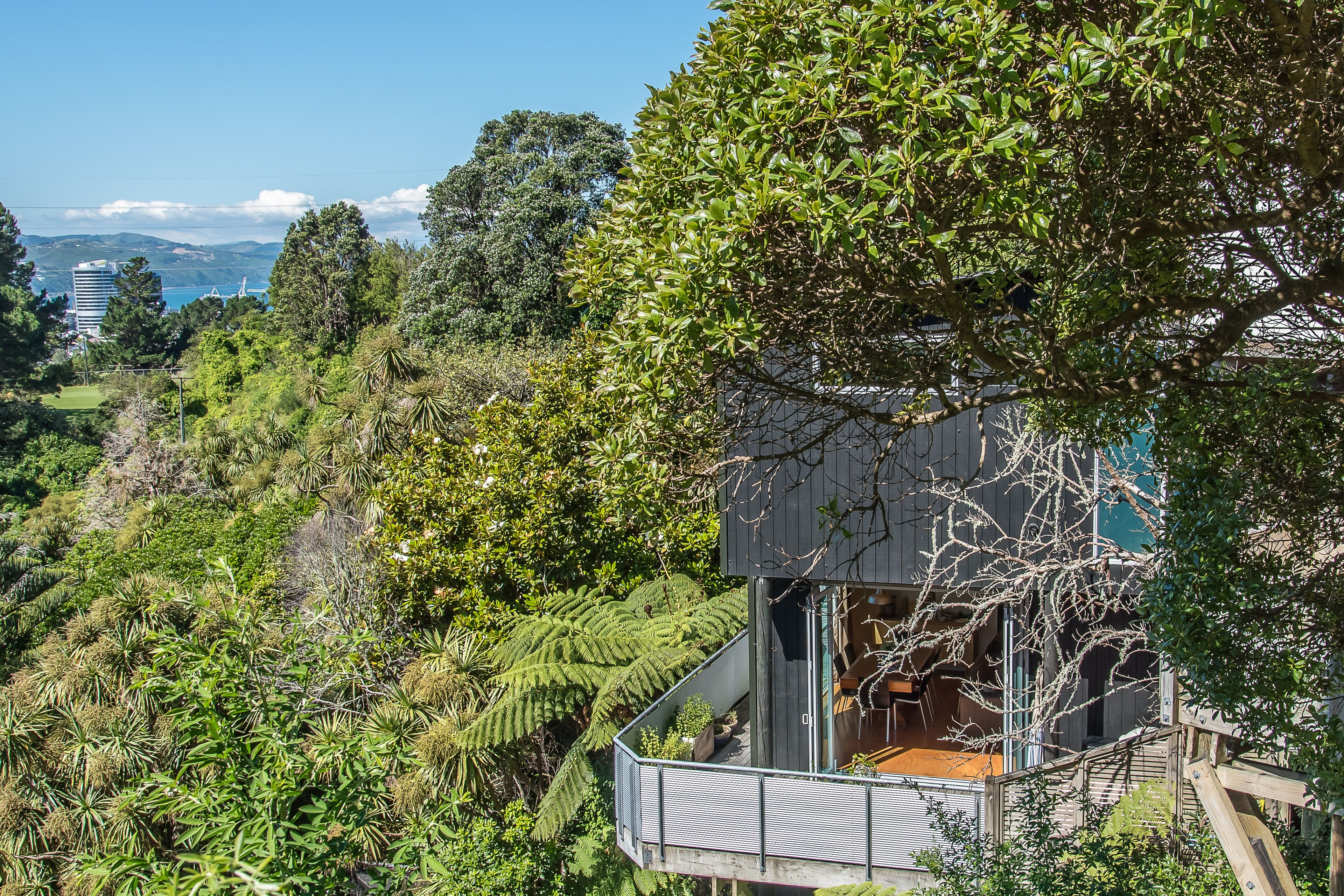 10a Laura Avenue, Brooklyn, Wellington City