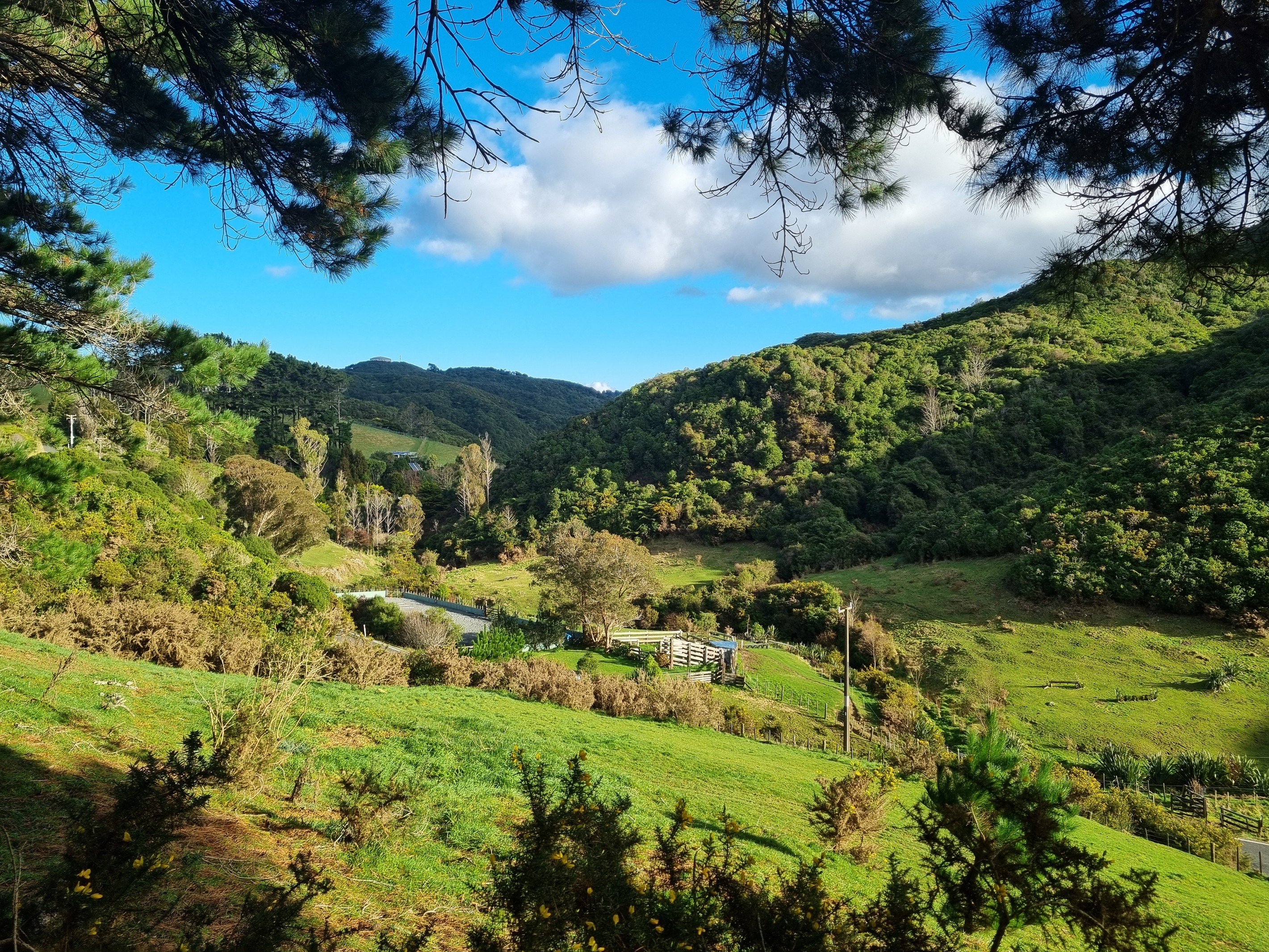 186 Stratton Street, Normandale, Lower Hutt City