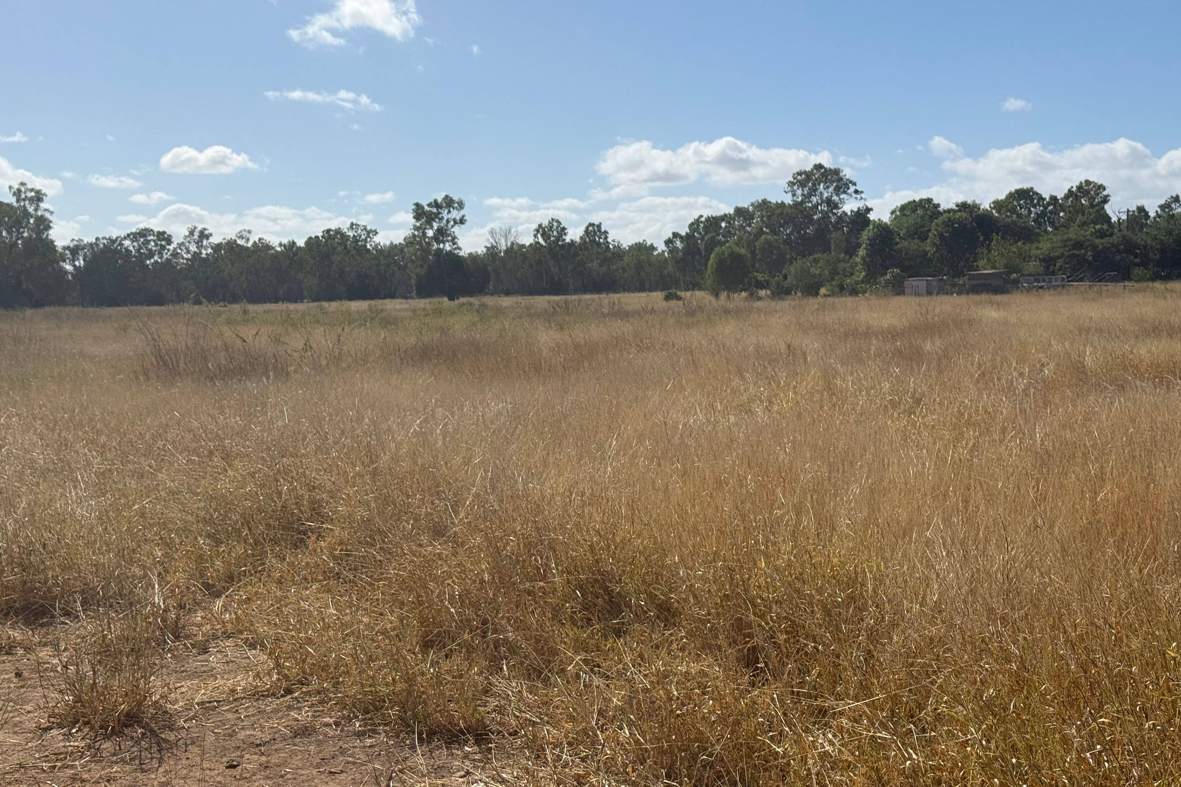 Lot 229 George Street — photo 13 of 13