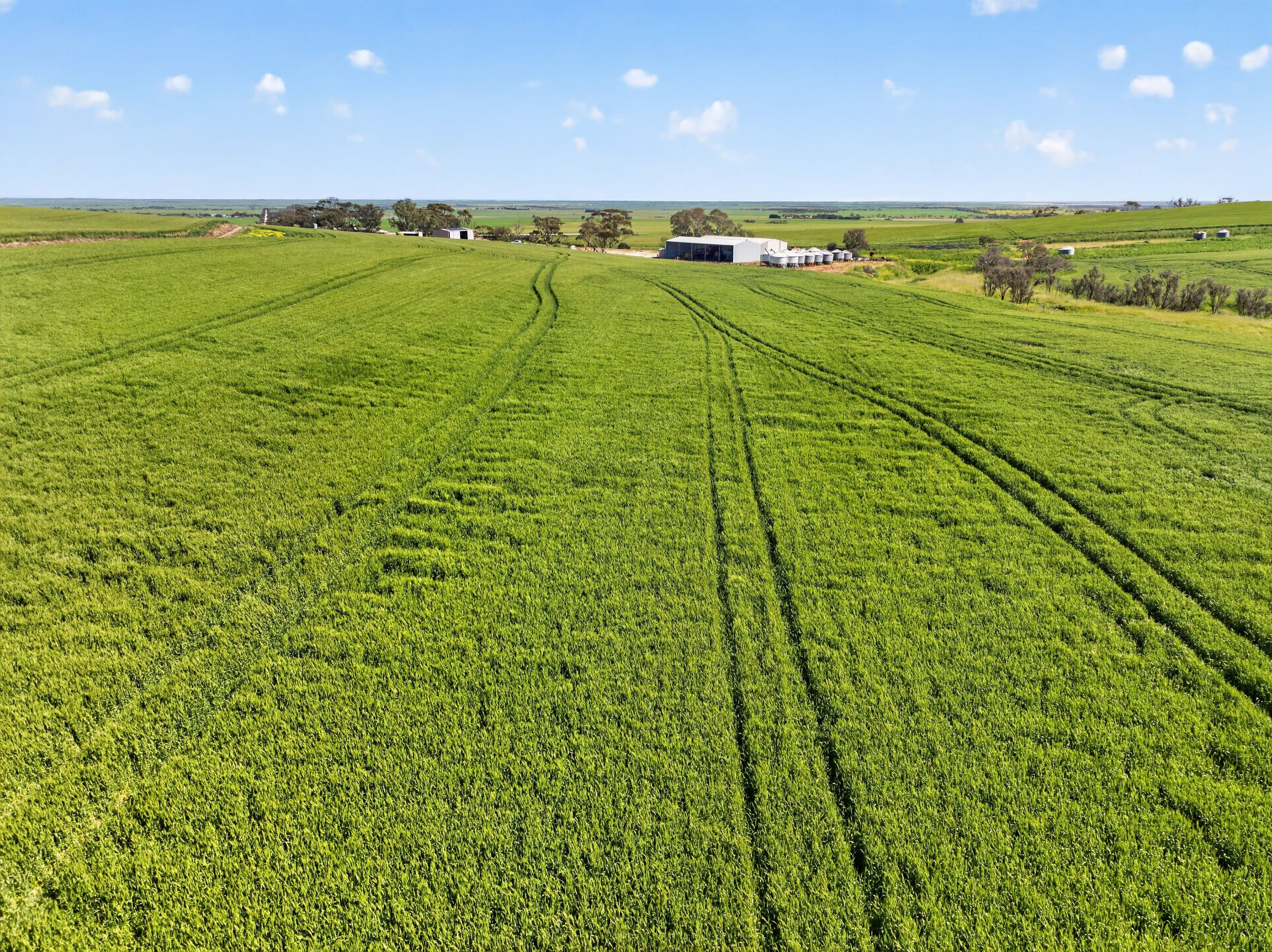 'Sharpes Well' Ireland Road — photo from Ray White Rural South Australia