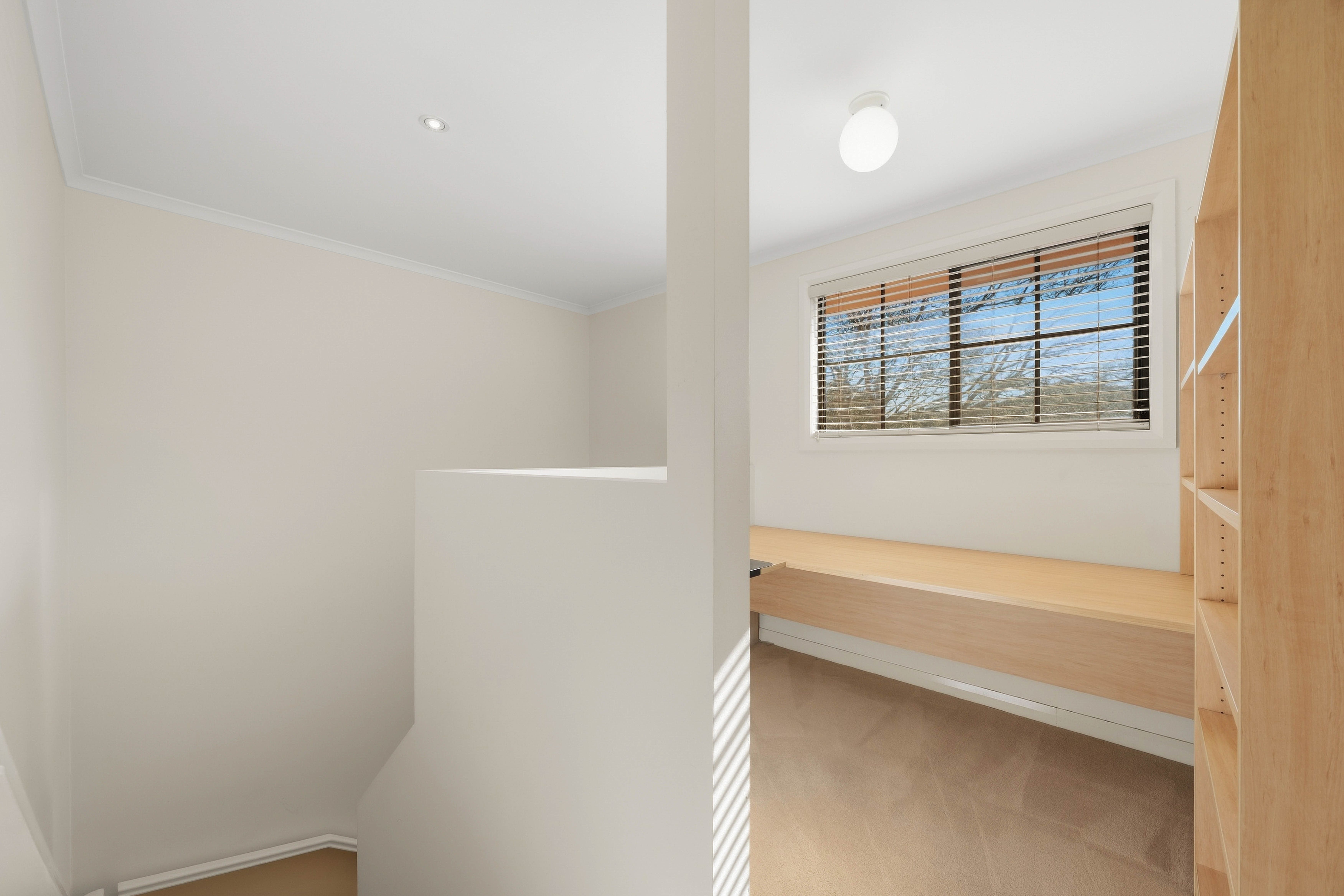 183/50 Ellenborough Street — photo 12 of 29