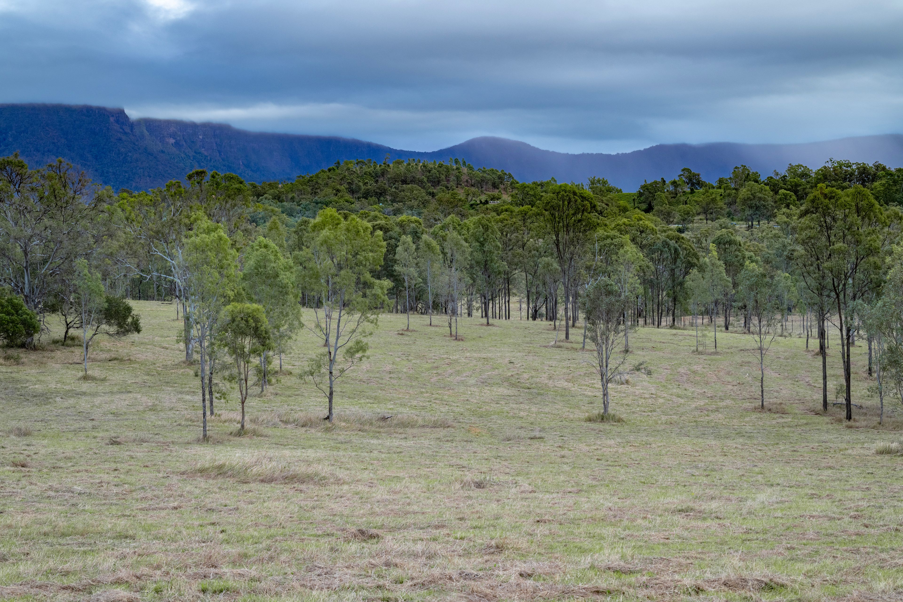 0 Cunningham Highway — photo 5 of 22