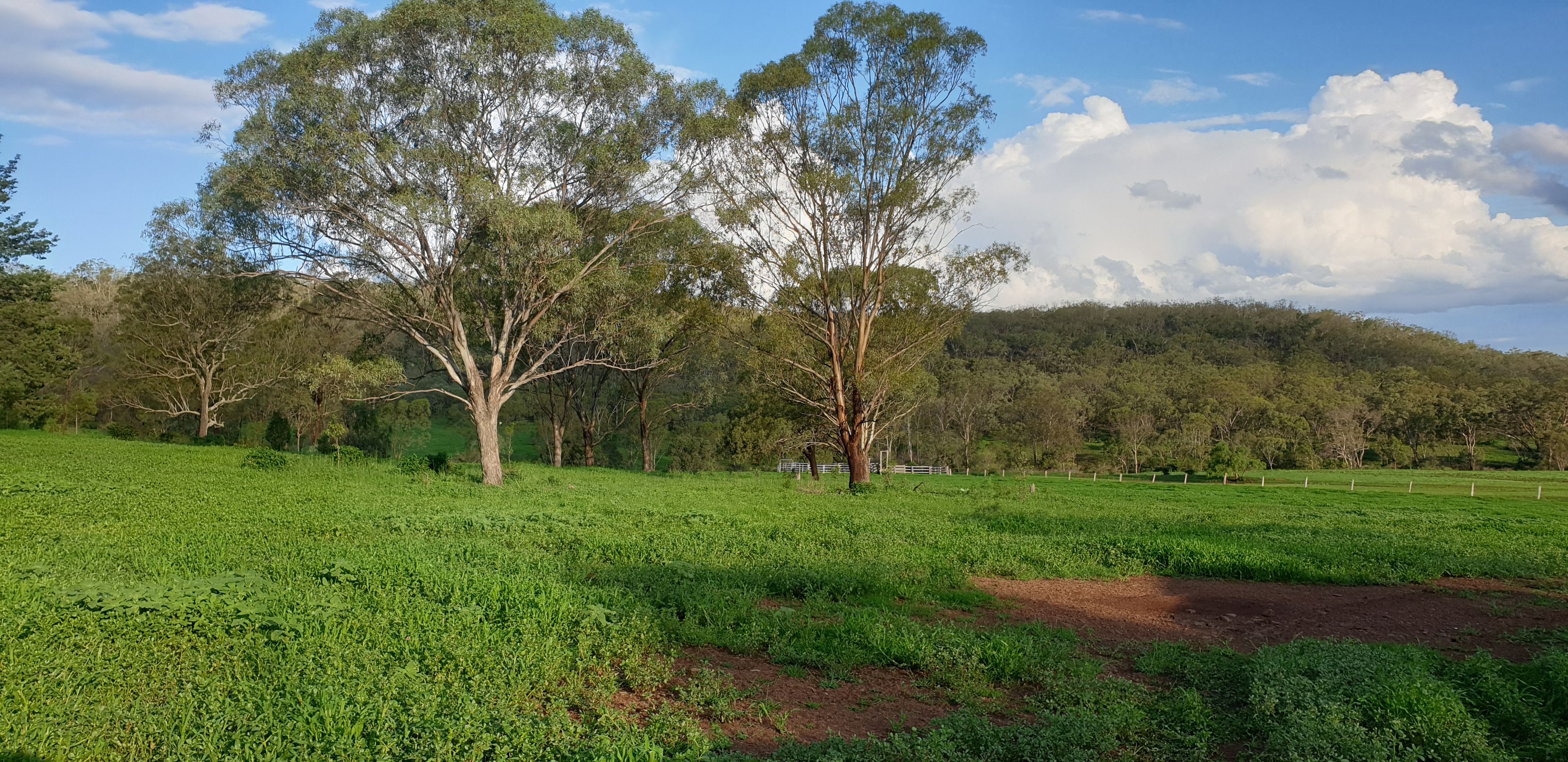 281 Bernard Road, Nobby, QLD 4360