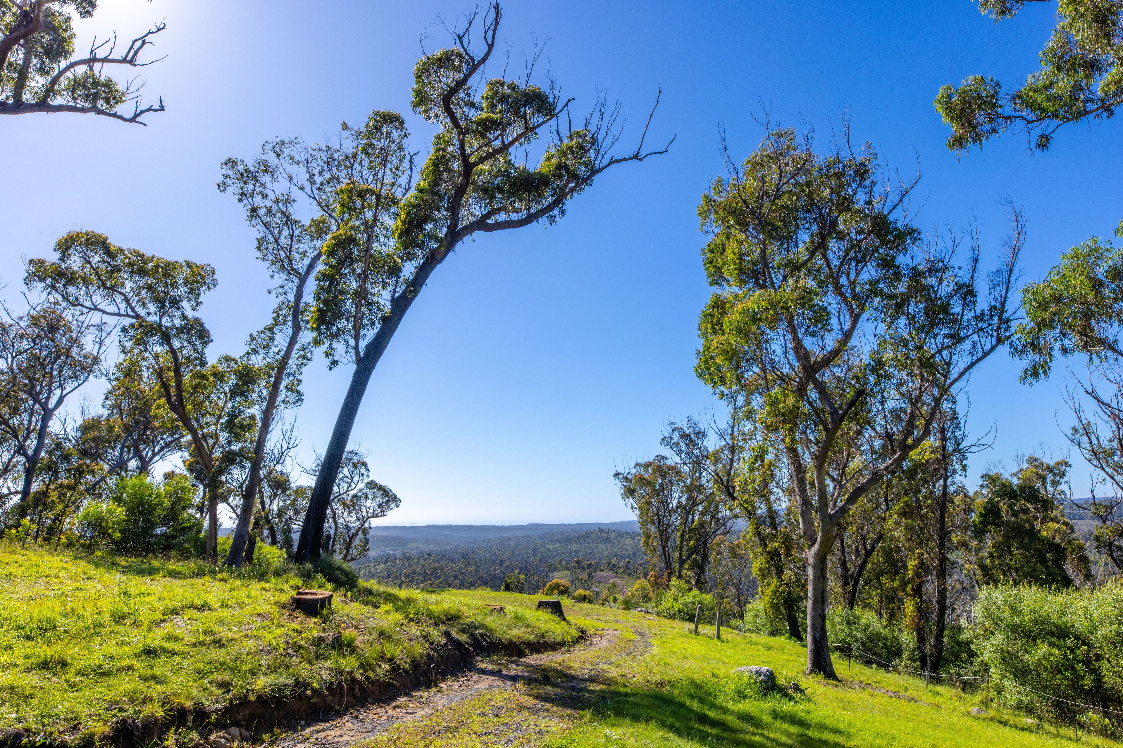 Lot 4 Braidwood Road — photo 5 of 17