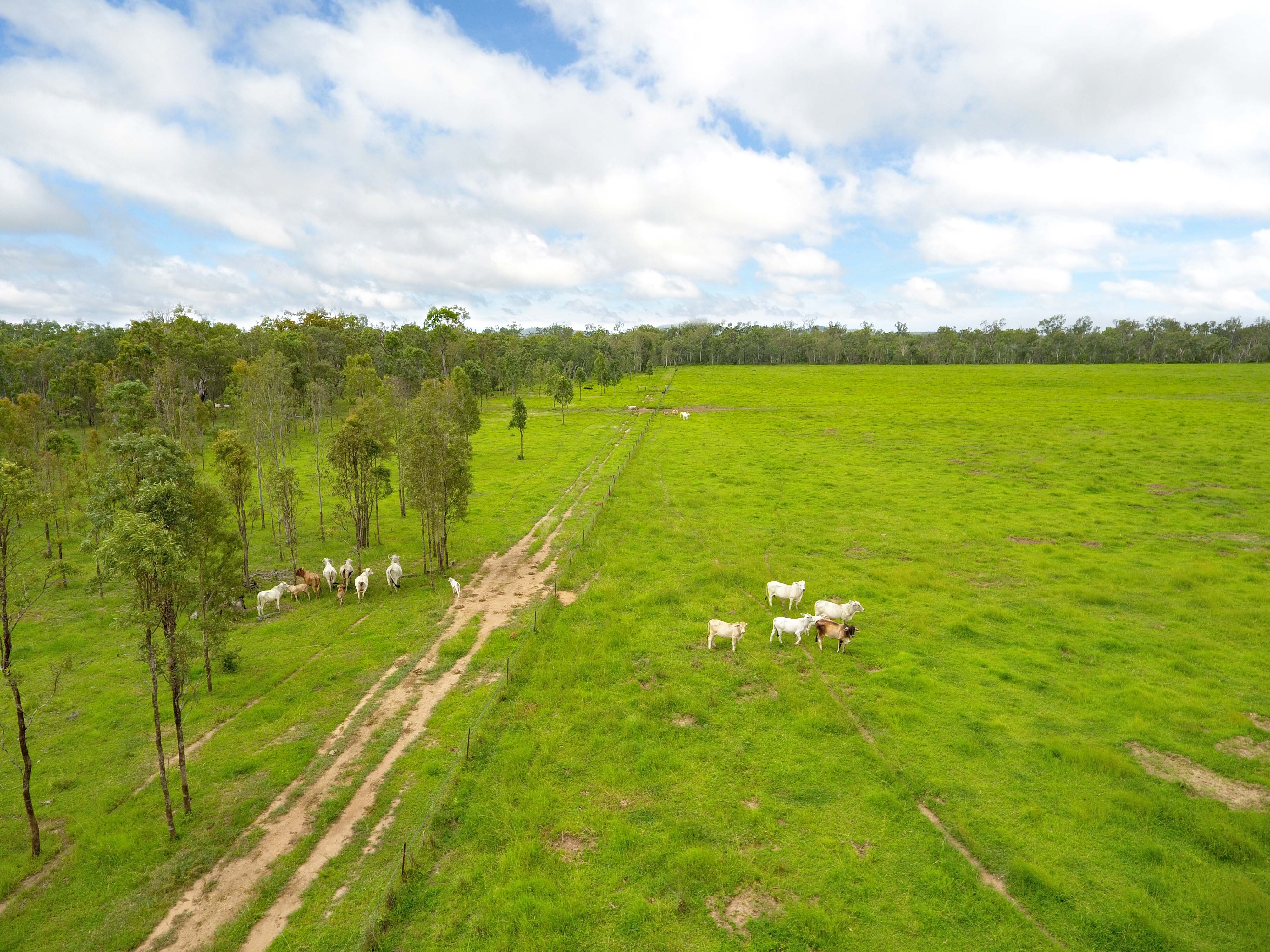 0 Gunnawarra Road, Gunnawarra, QLD 4872