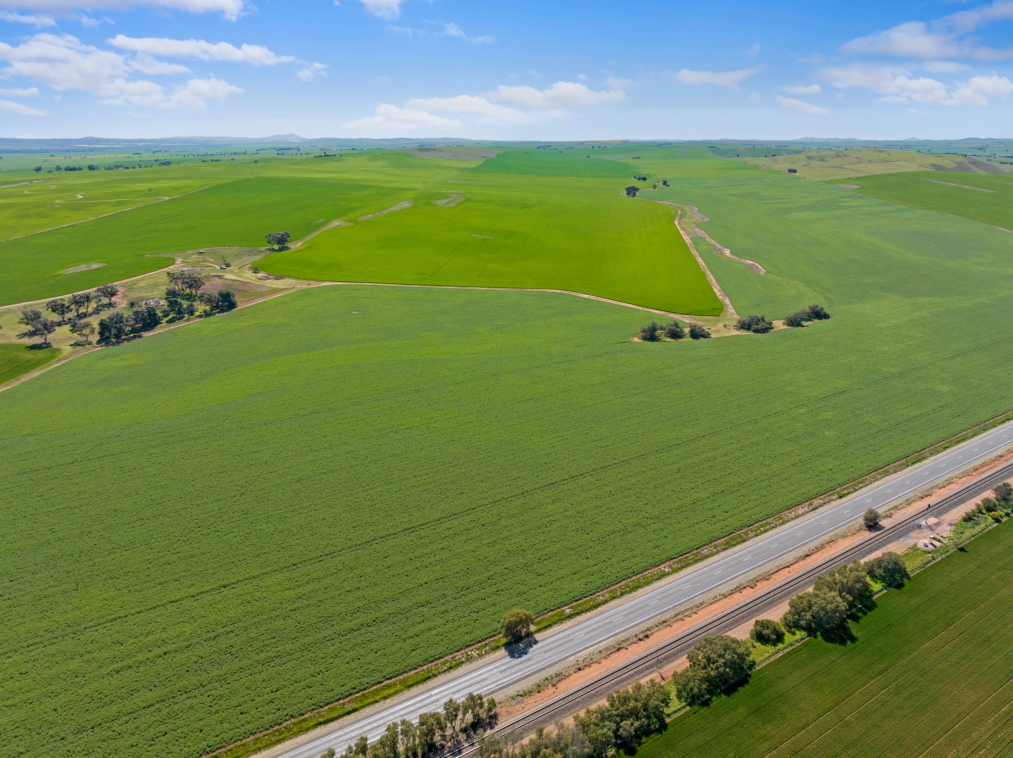 'Yangya' & '96' Wilkins Highway, Gladstone, SA 5473 Sold Rural