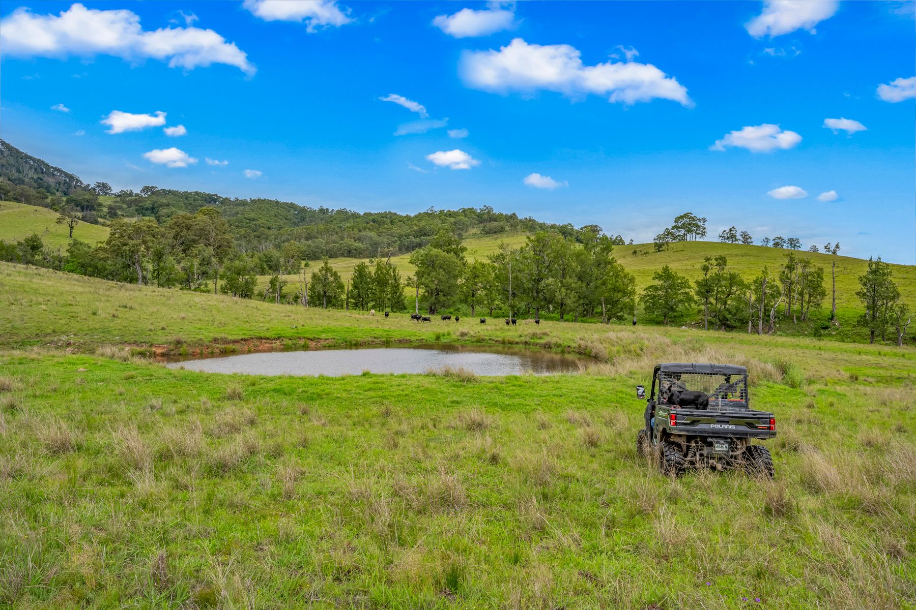 Carrowbrook Road Mount Olive — photo 4 of 15