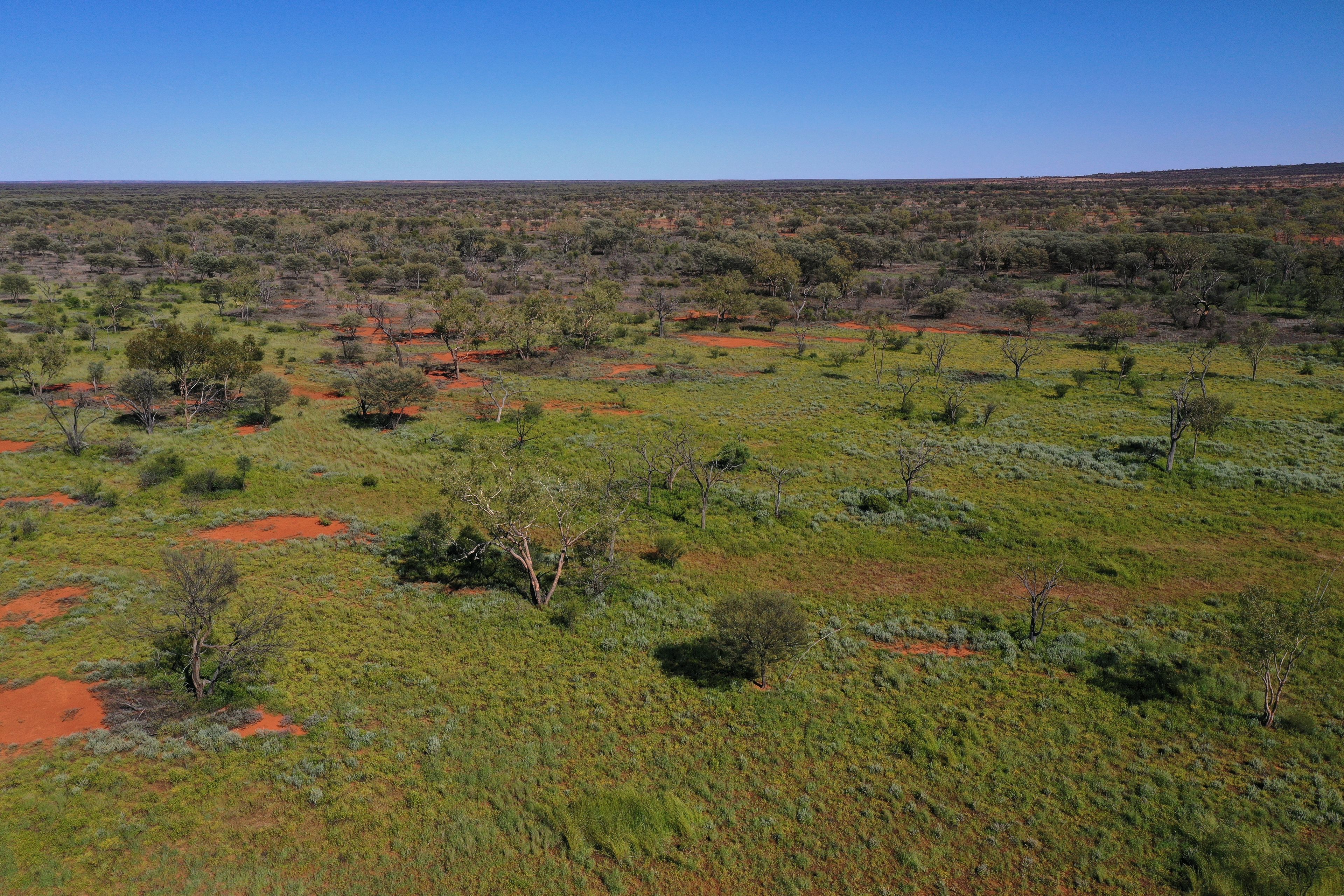 4751 Hungerford Road, Thargomindah, QLD 4492