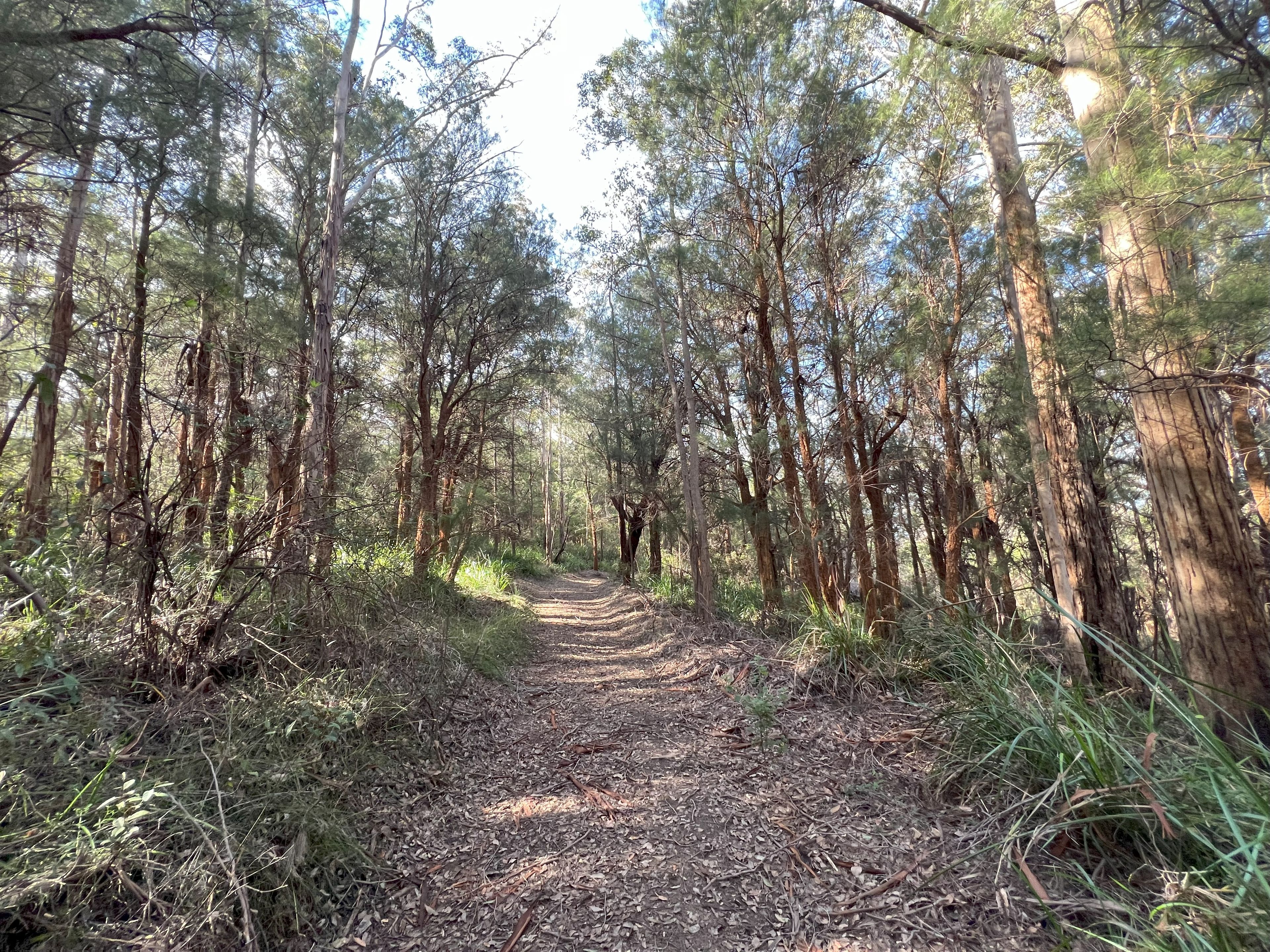 51 Pittam Way, Shadforth, WA 6333 - Sold Rural Lifestyle Property - Ray ...