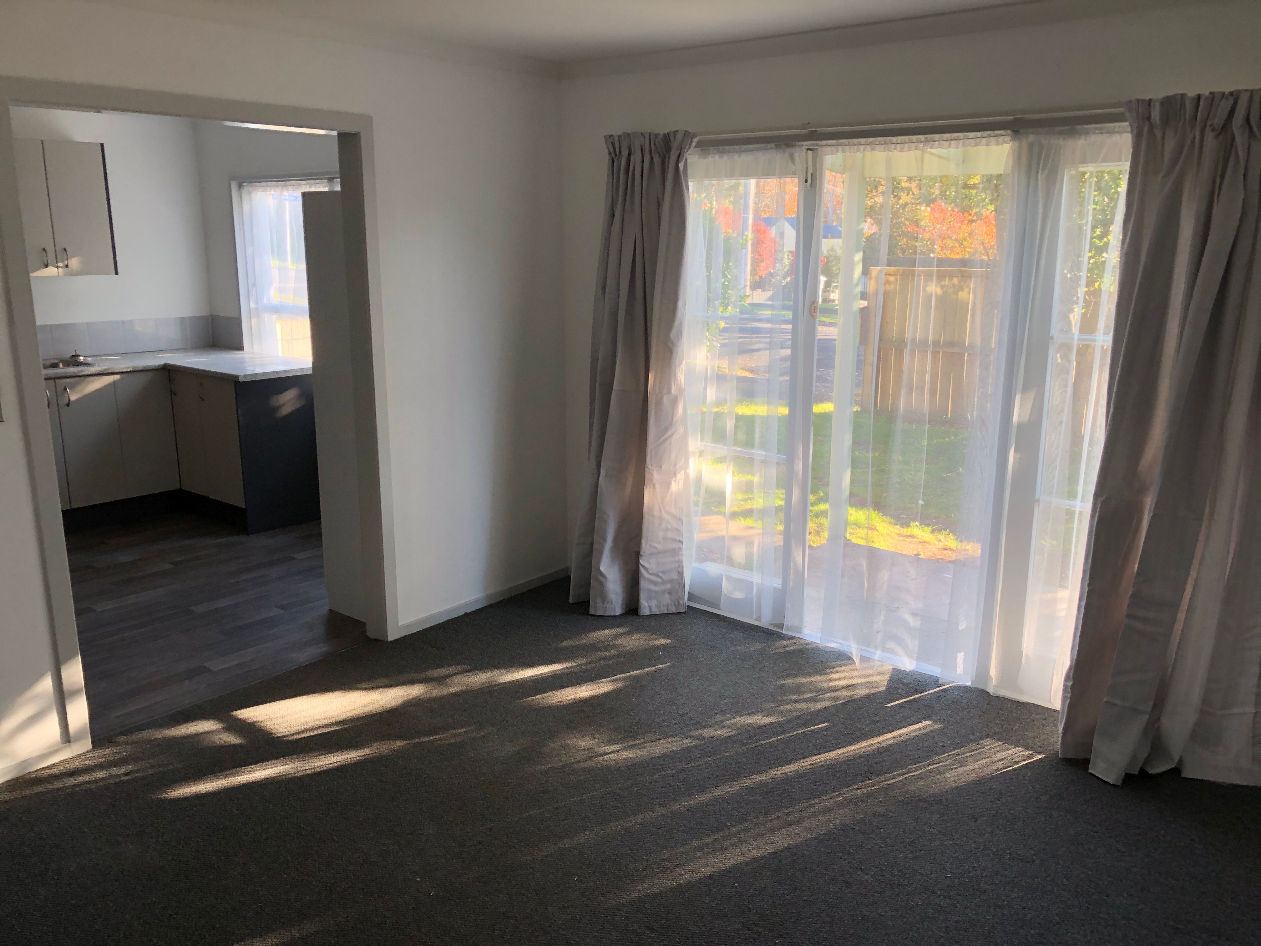 17 Dyer Street, Whitiora, Hamilton City