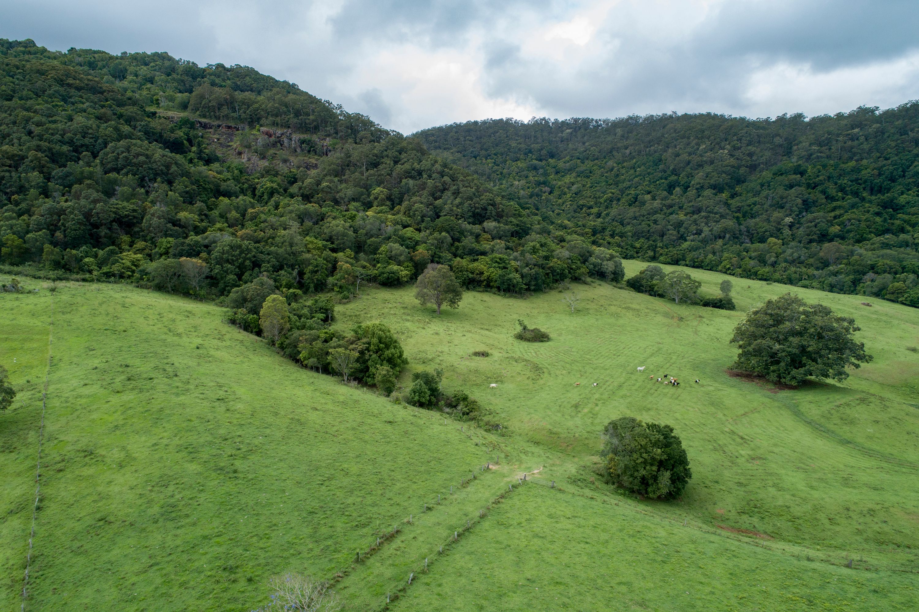 House For Sale Currey Road Wongawallan at Miller blog